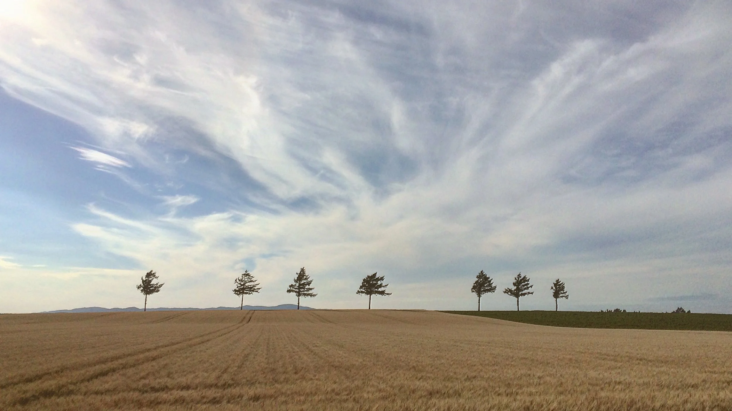 When Social Media Writes the Travel Script