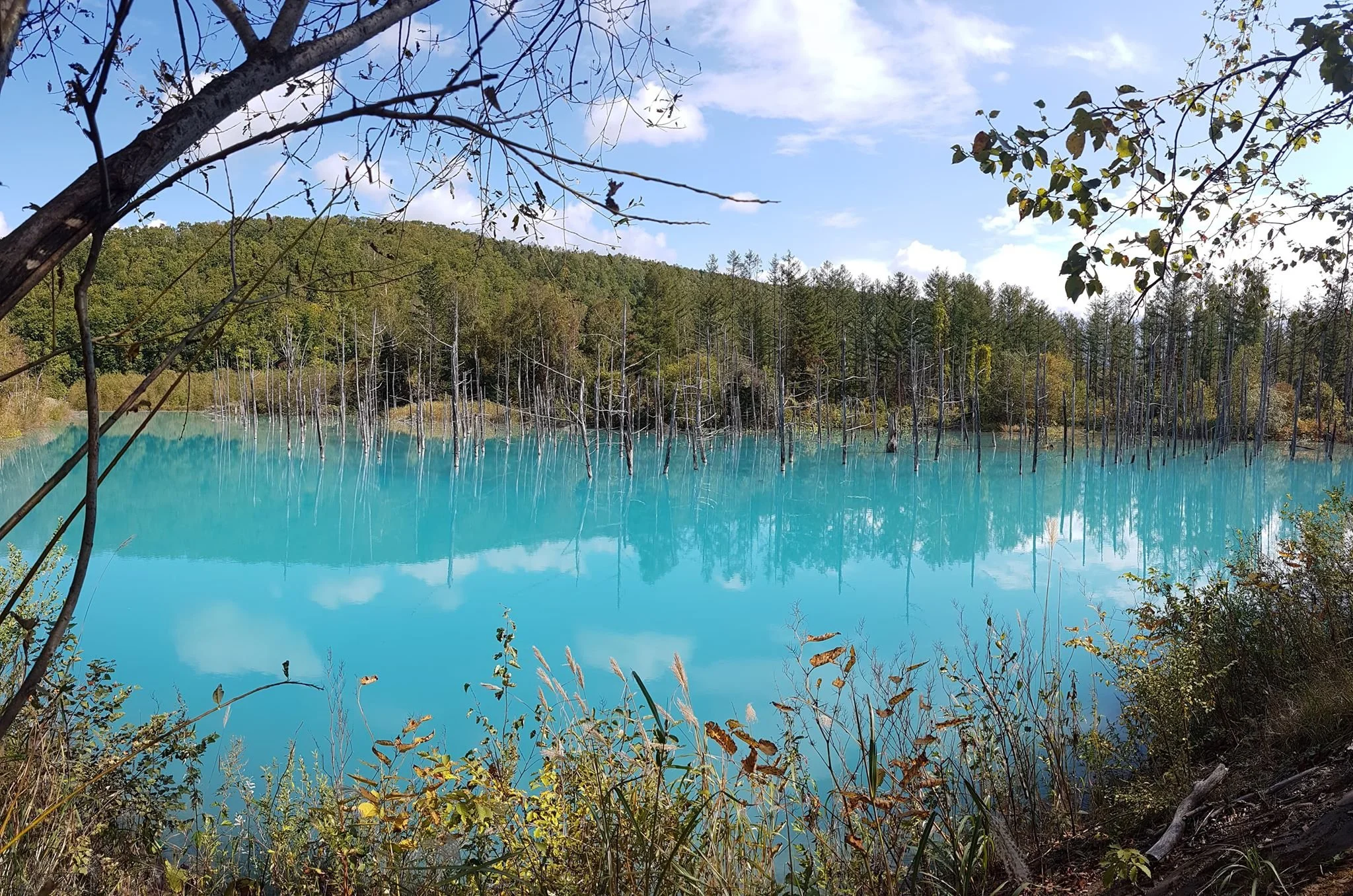Blue-Pond-Perfect.jpg