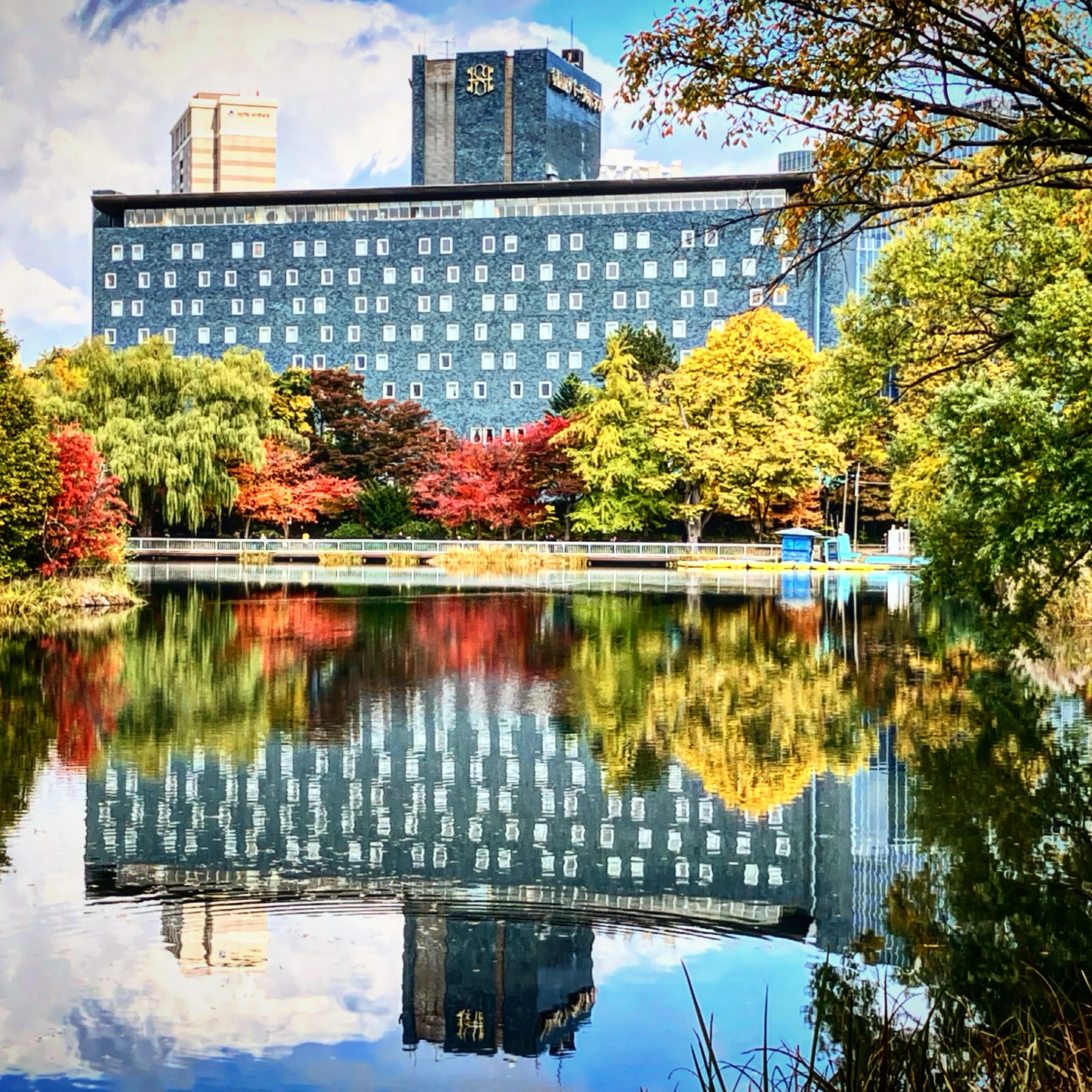 A city park with a pond, colorful trees with fall foliage, and a modern building reflecting on the water, with blue sky and clouds in the background.