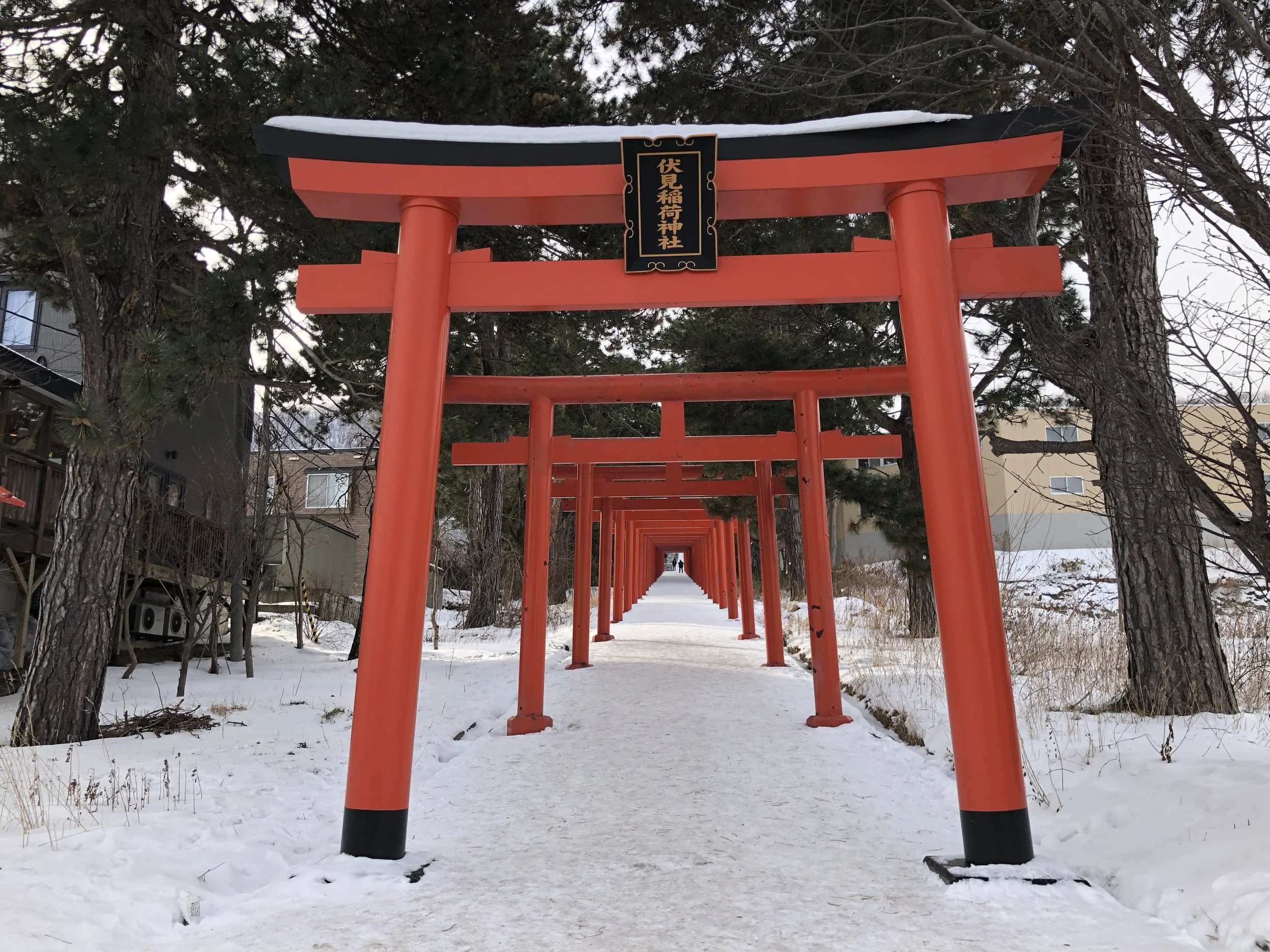 Filas de torii rojos alineados en un camino nevado, rodeados de árboles y casas al fondo, en un lugar de culto japonés. Fushimi Inari