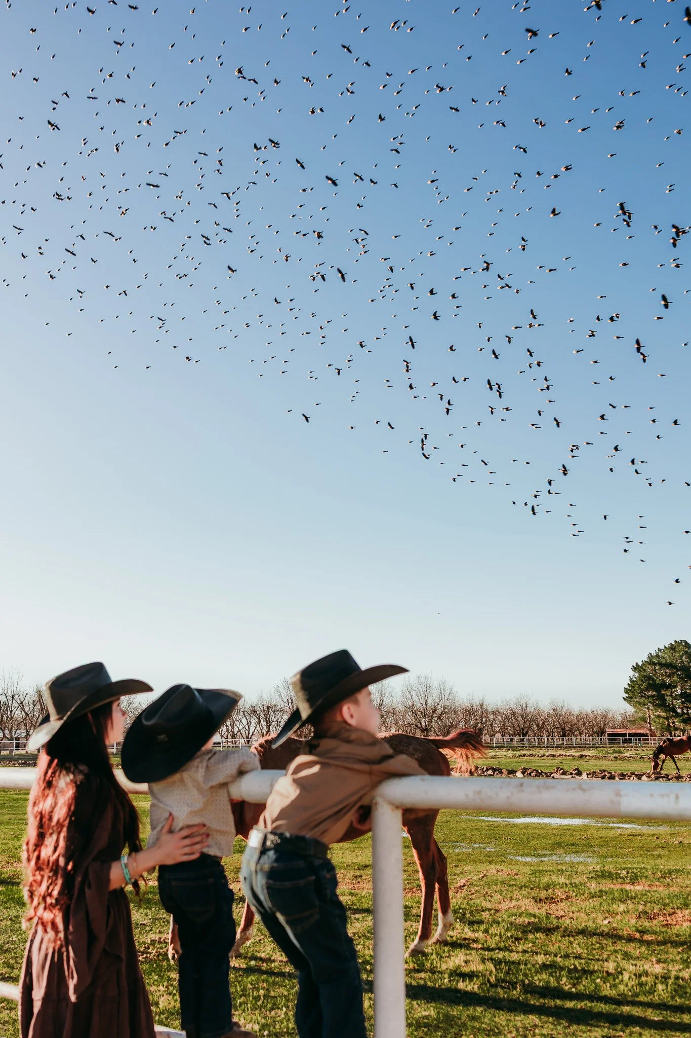 Family watching birds fly overhead during a western-inspired family photography session in La Mesa, New Mexico.