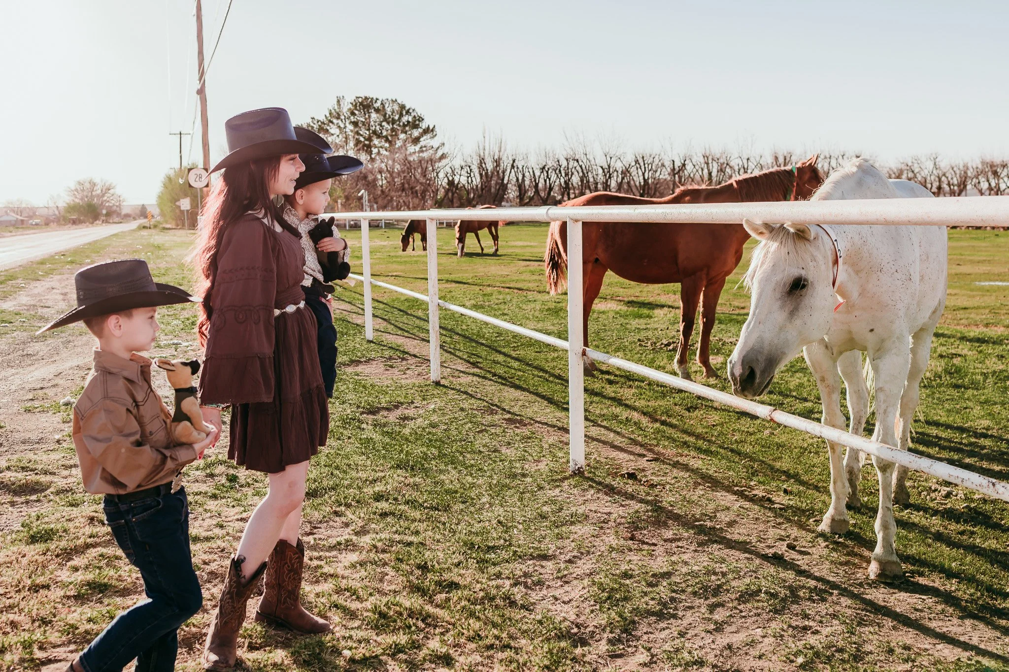 Western family photography in La Mesa, New Mexico featuring children meeting horses during an outdoor family session.