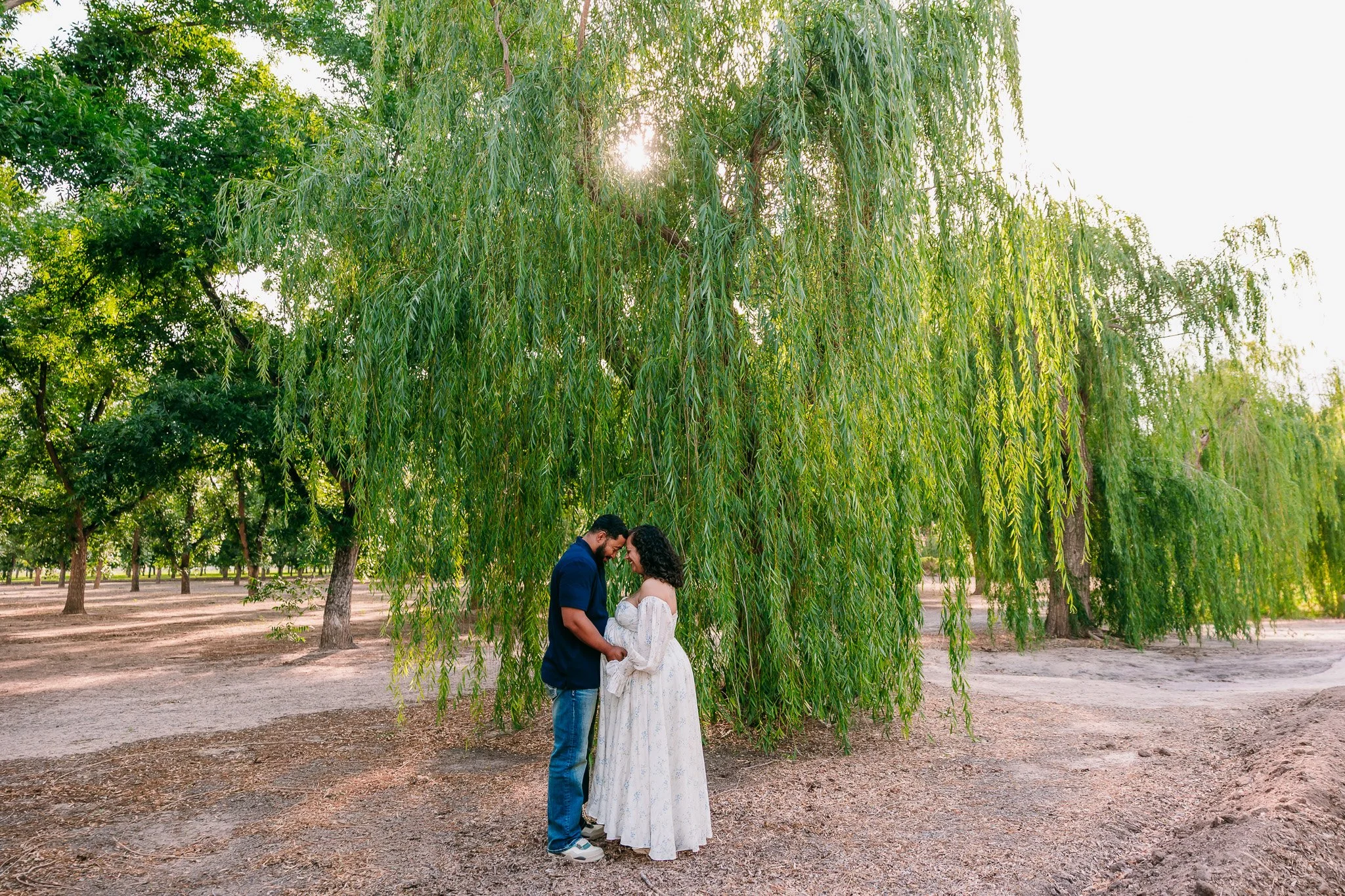 Expecting parents sharing a kiss beneath a willow tree during an outdoor maternity session in Las Cruces, New Mexico.