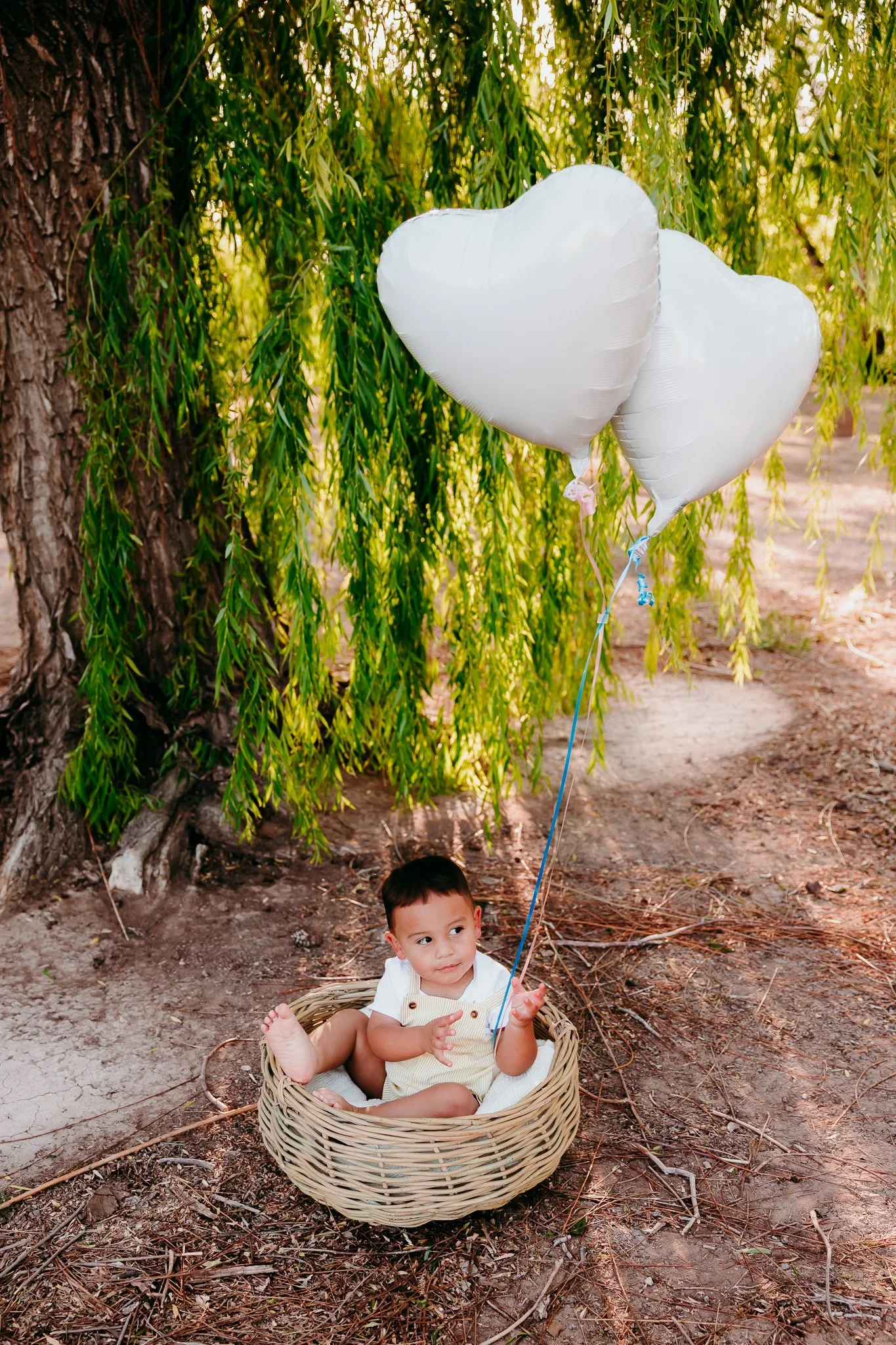 Toddler holding white balloons beneath willow trees during a playful family photography session in Las Cruces, New Mexico.