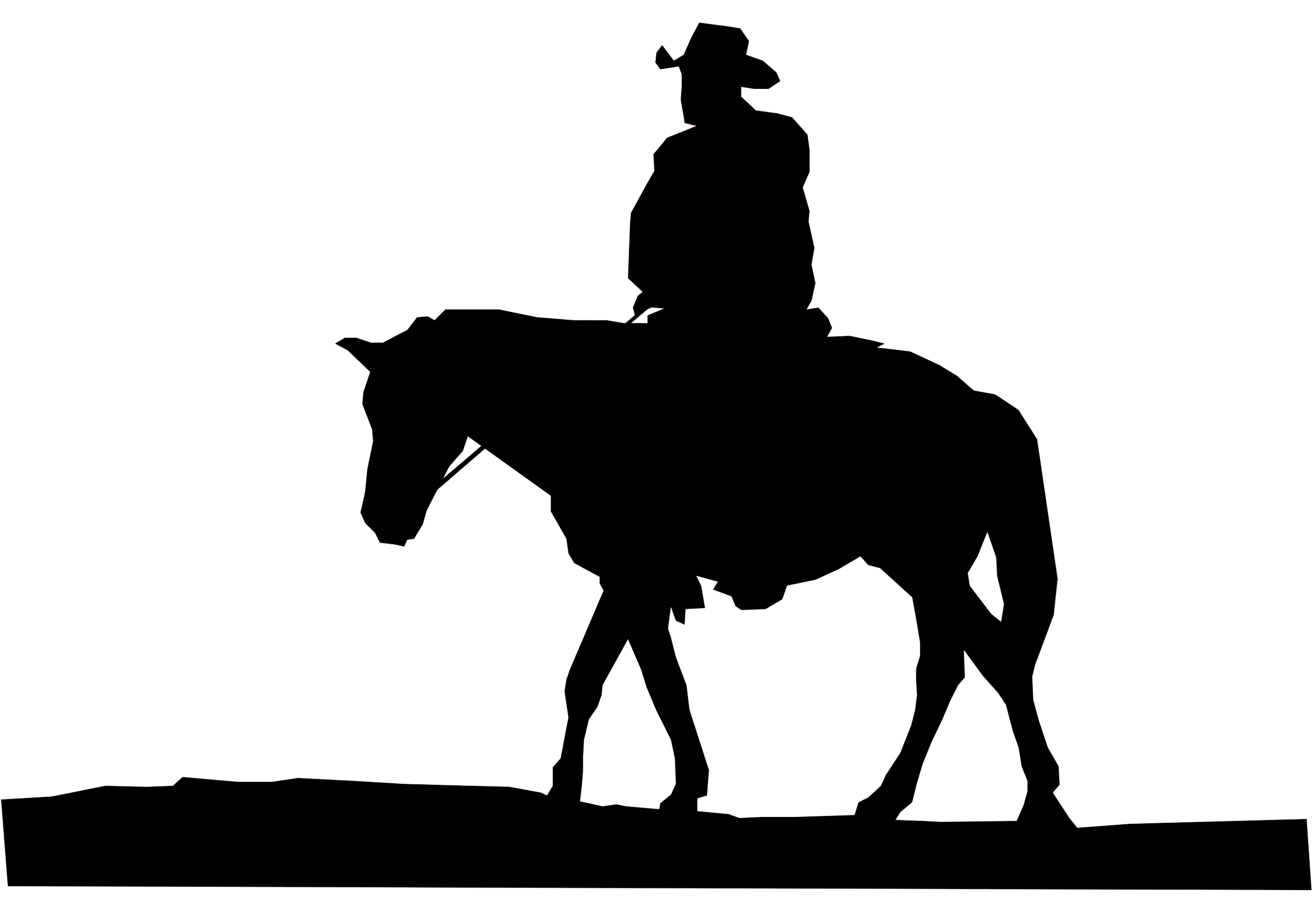 A Searches Who Searches (CCHS)