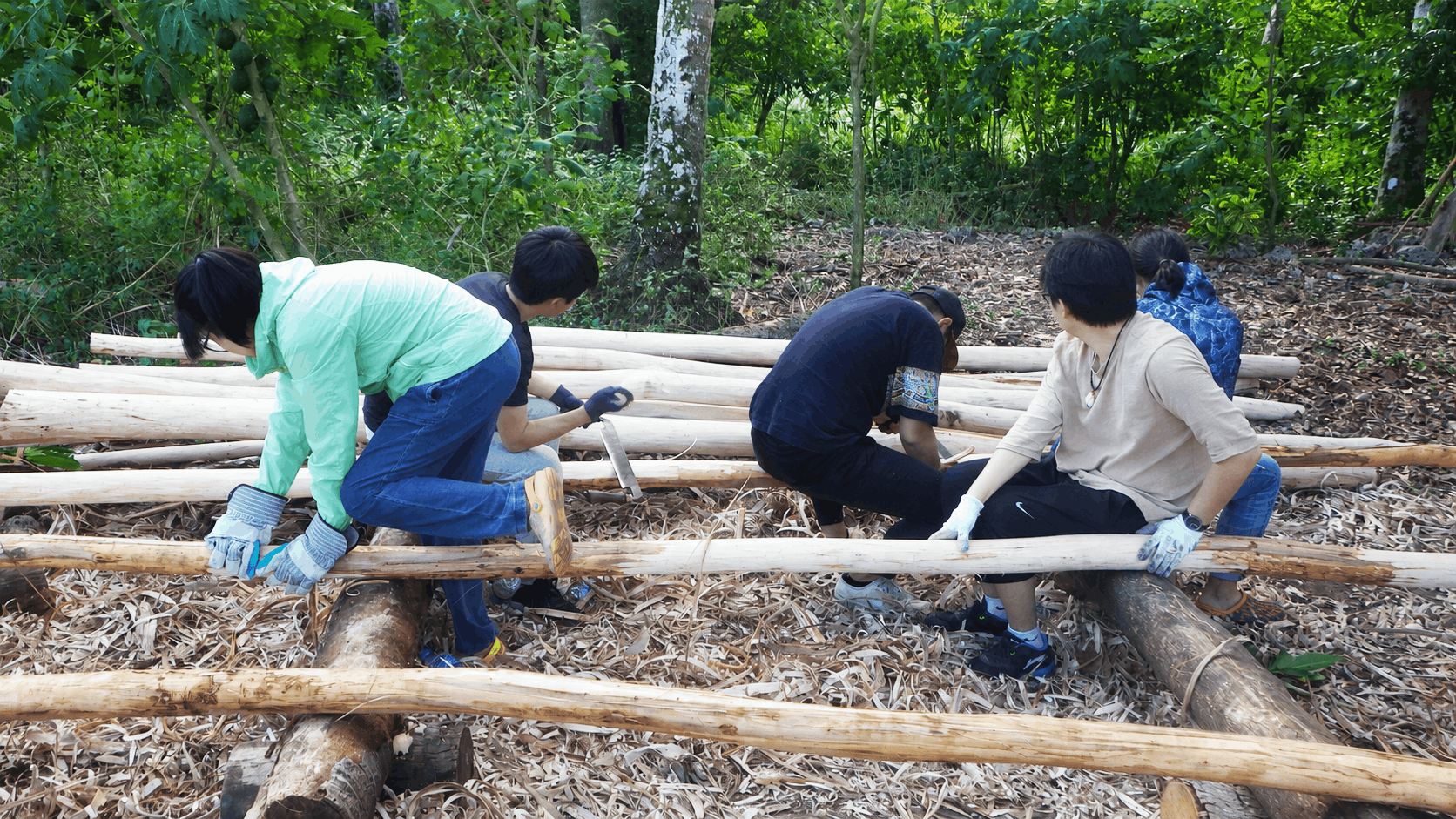 12 Log carving edited.png