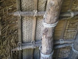 1 Taloa detail. JPG.jpg
