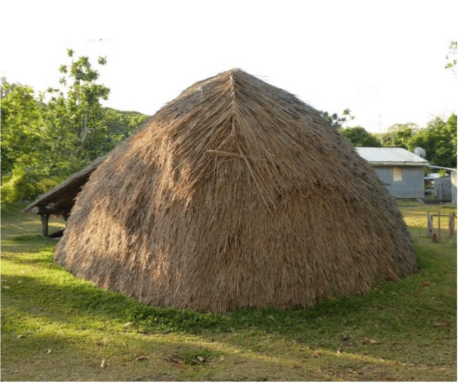 0 Taloa back.jpg