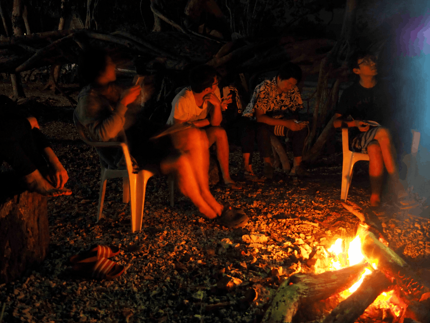 5 Campfire 2.png