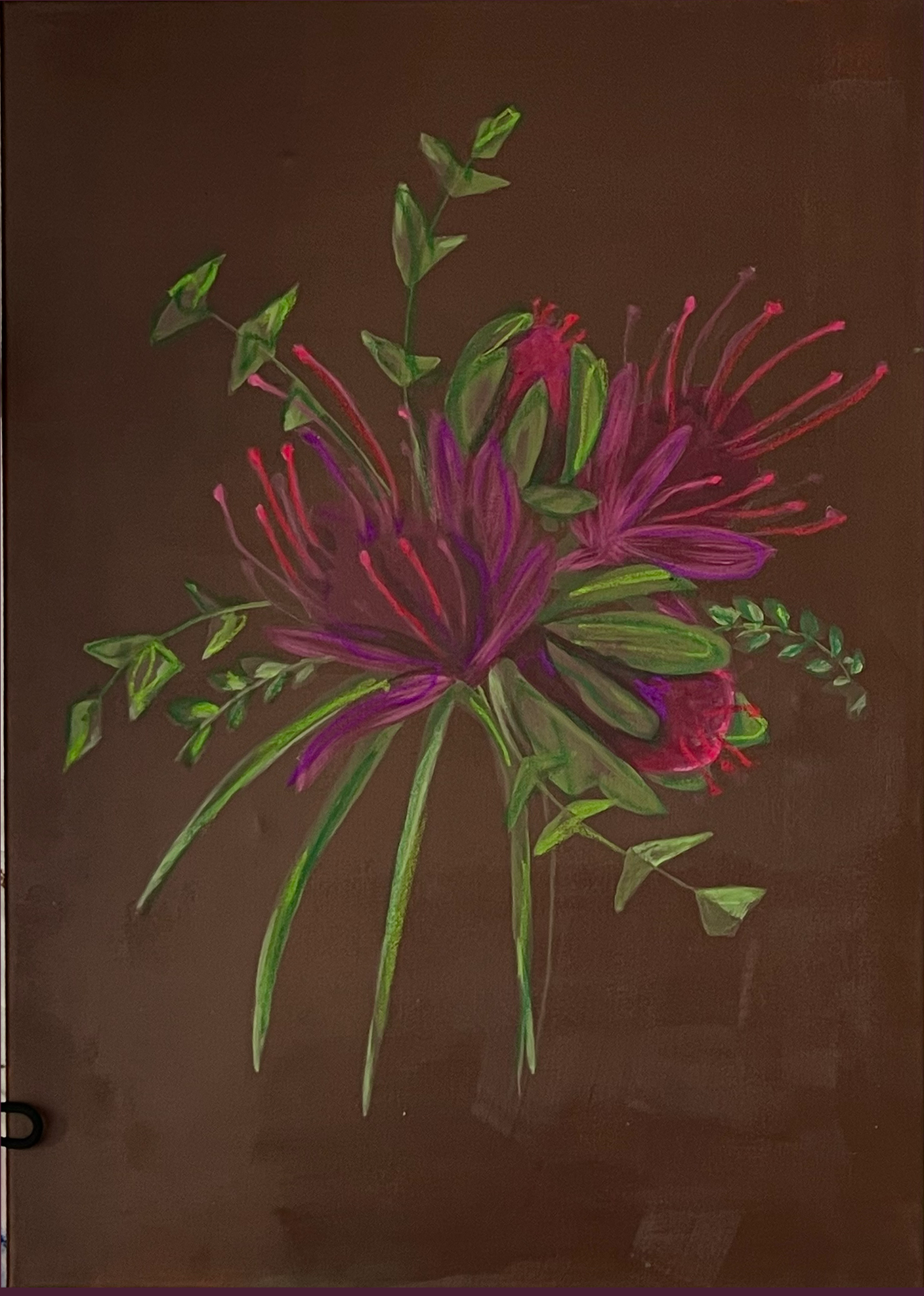 King Protea