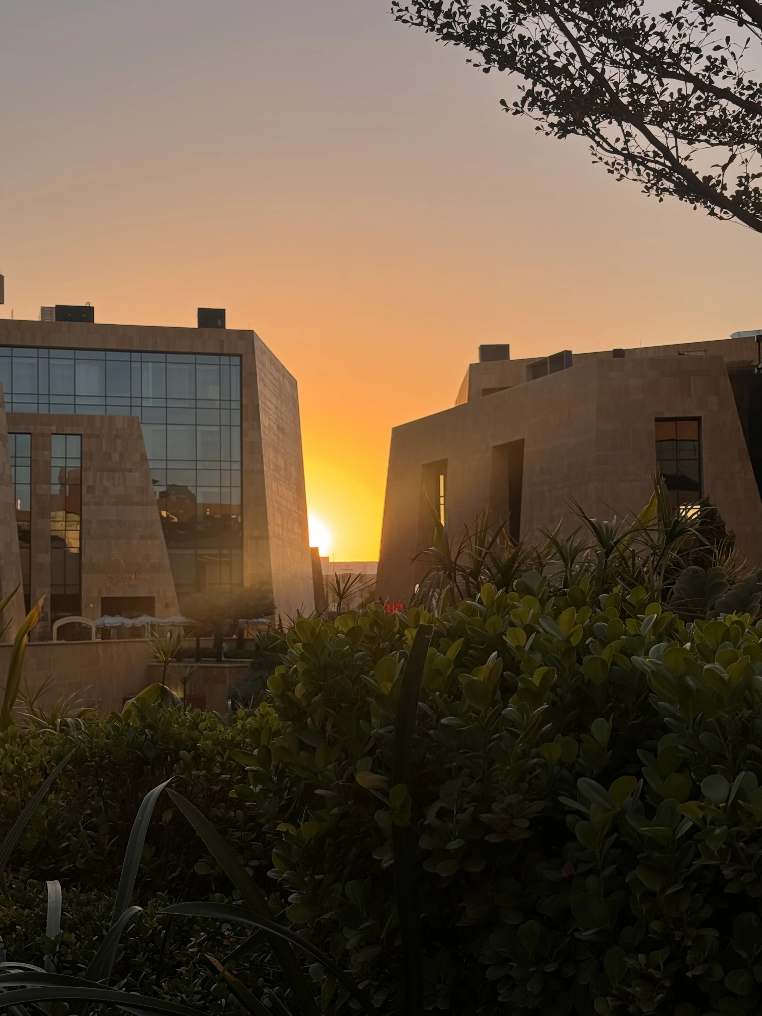 كيانٌ صامدٌ أصبحت