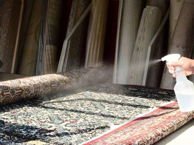 Ahşap raflar ve çeşitli rulo halıların bulunduğu mağazada, desenli bir halıya su püskürten kişi.
