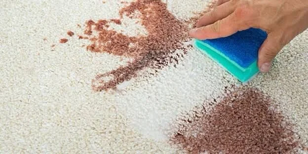Bir el, bir süngerle yüzeyde dökülen toz maddeleri temizliyor.