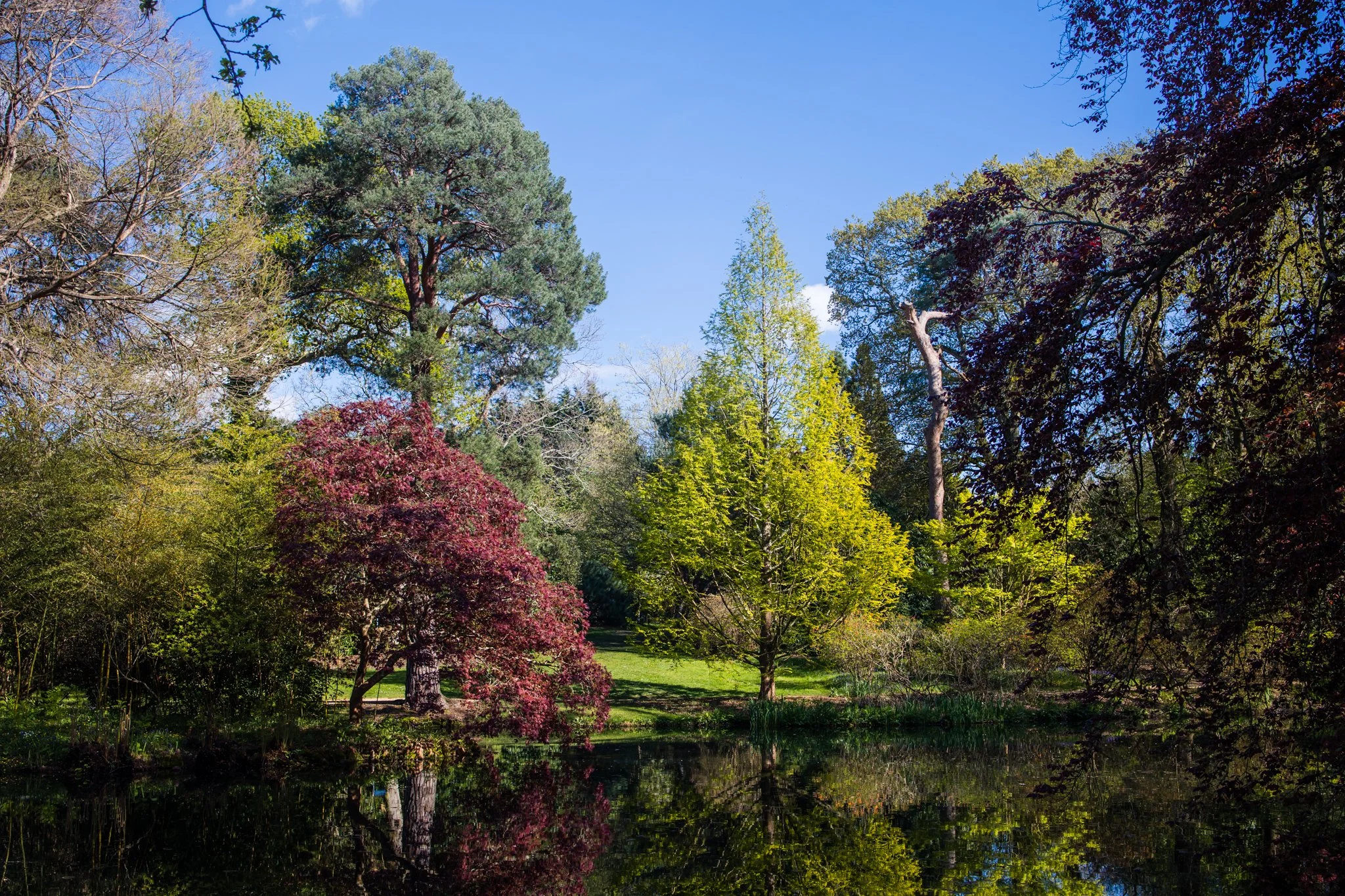 B.A.D Abarth at Exbury Gardens 
