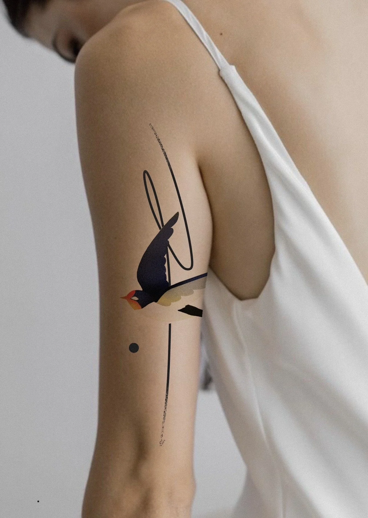 golondrina.jpg