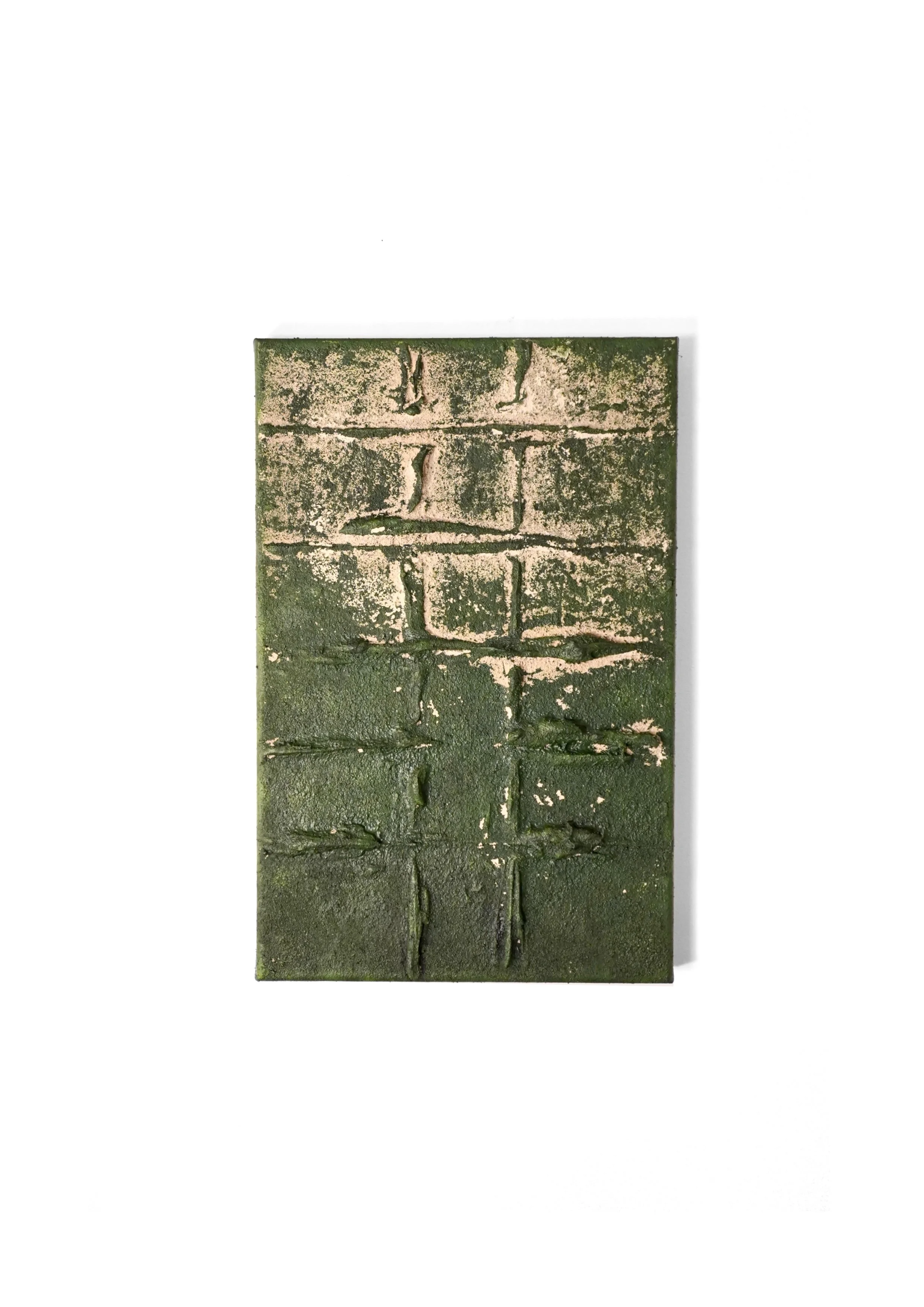verde e relieve.JPG