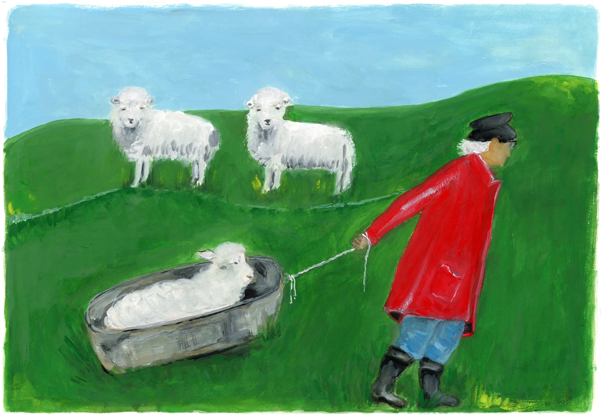 Sheep