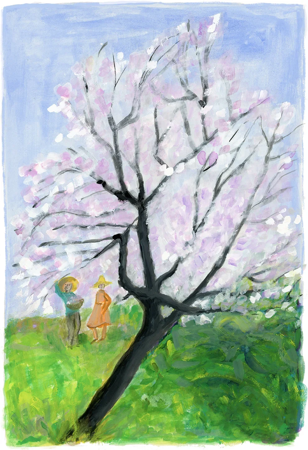 Almond tree