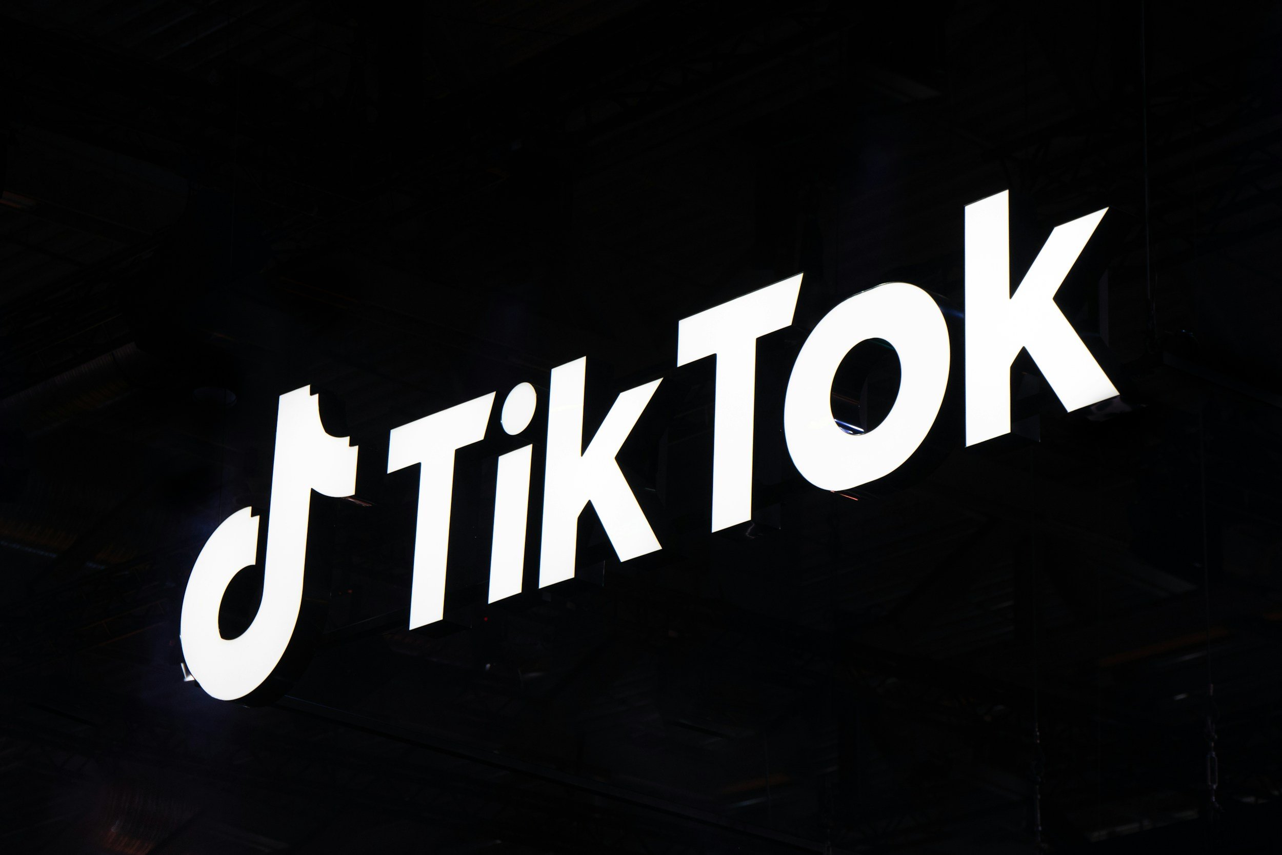 TikTok Logo . Full name