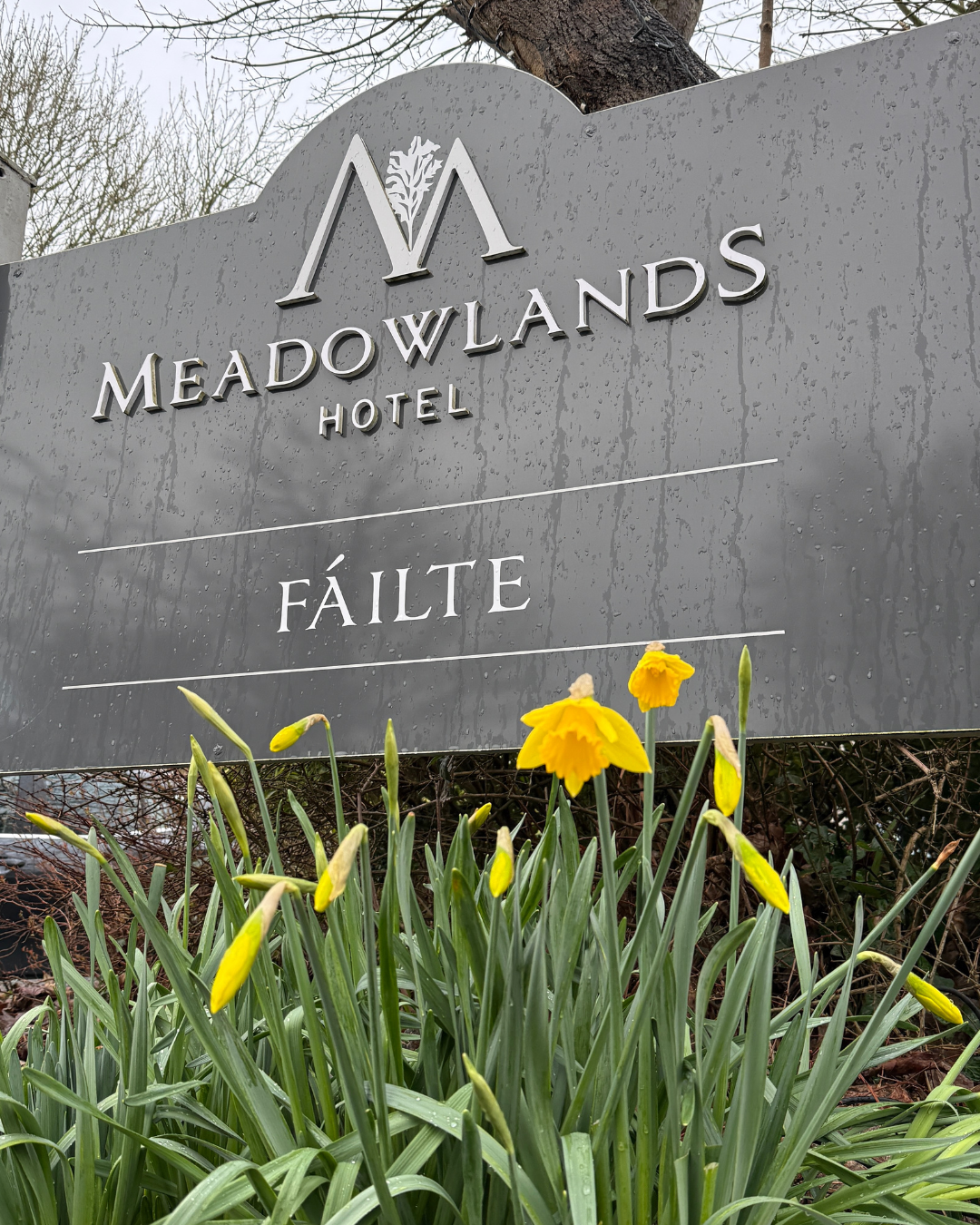 Meadowlands Hotel