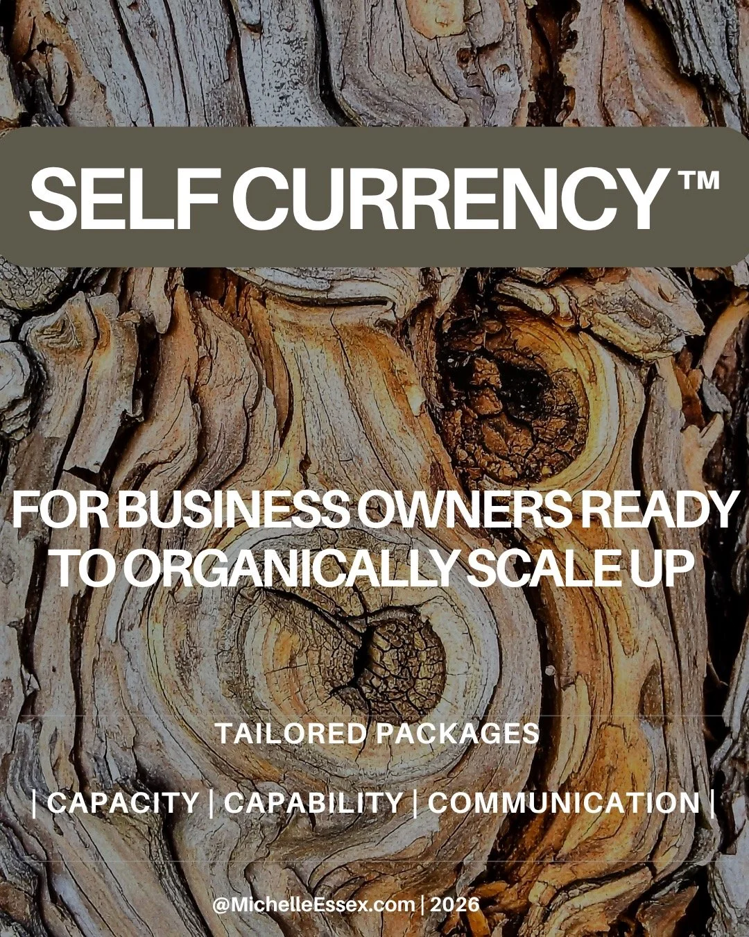 A while ago, I quietly created a program to support my clients to earn more money doing the business they love. 

I recognised that we are all humans with differing skillsets, and that it was okay to make money creating what you love. It is a lot eas