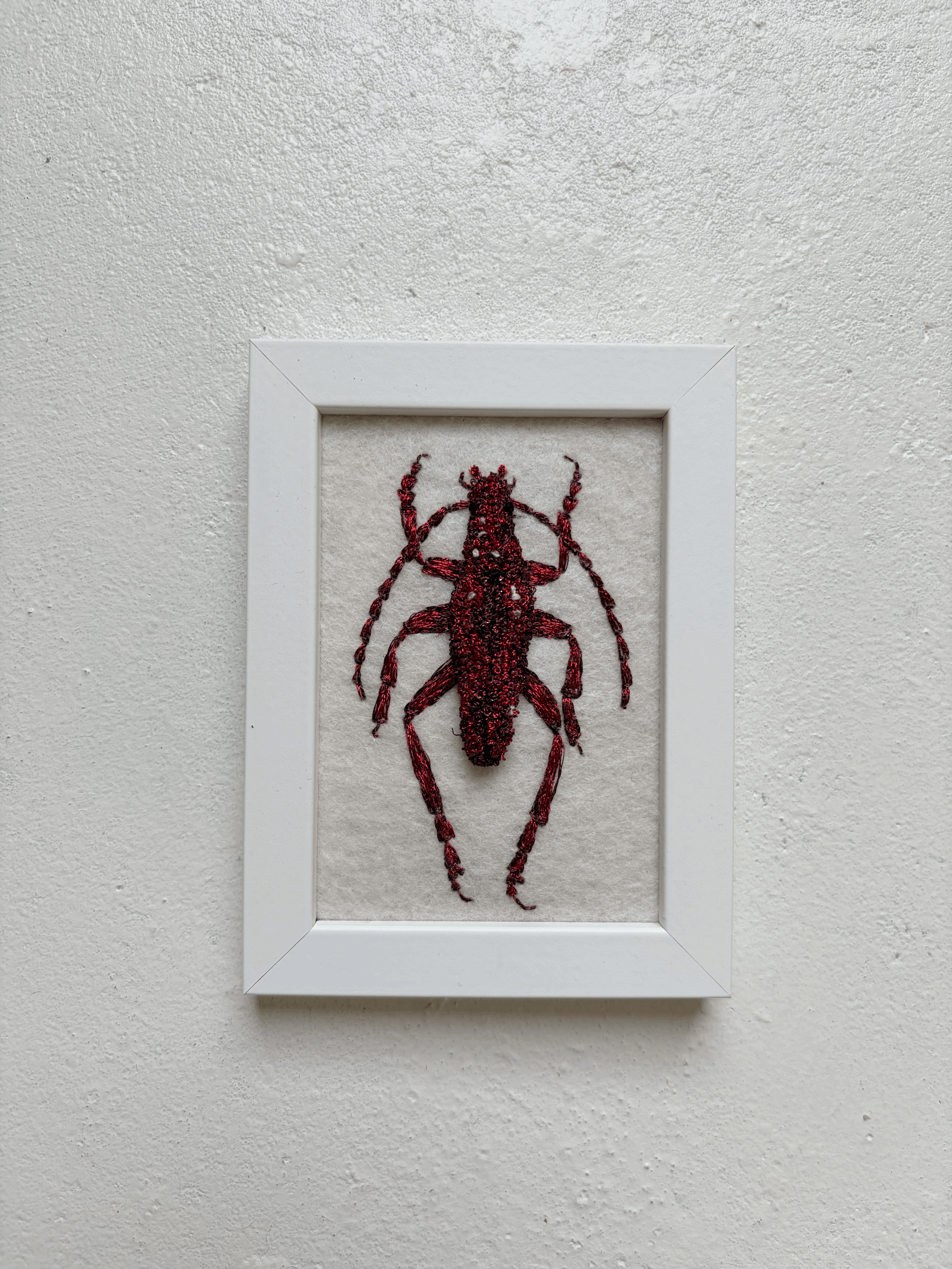 Beetle #1