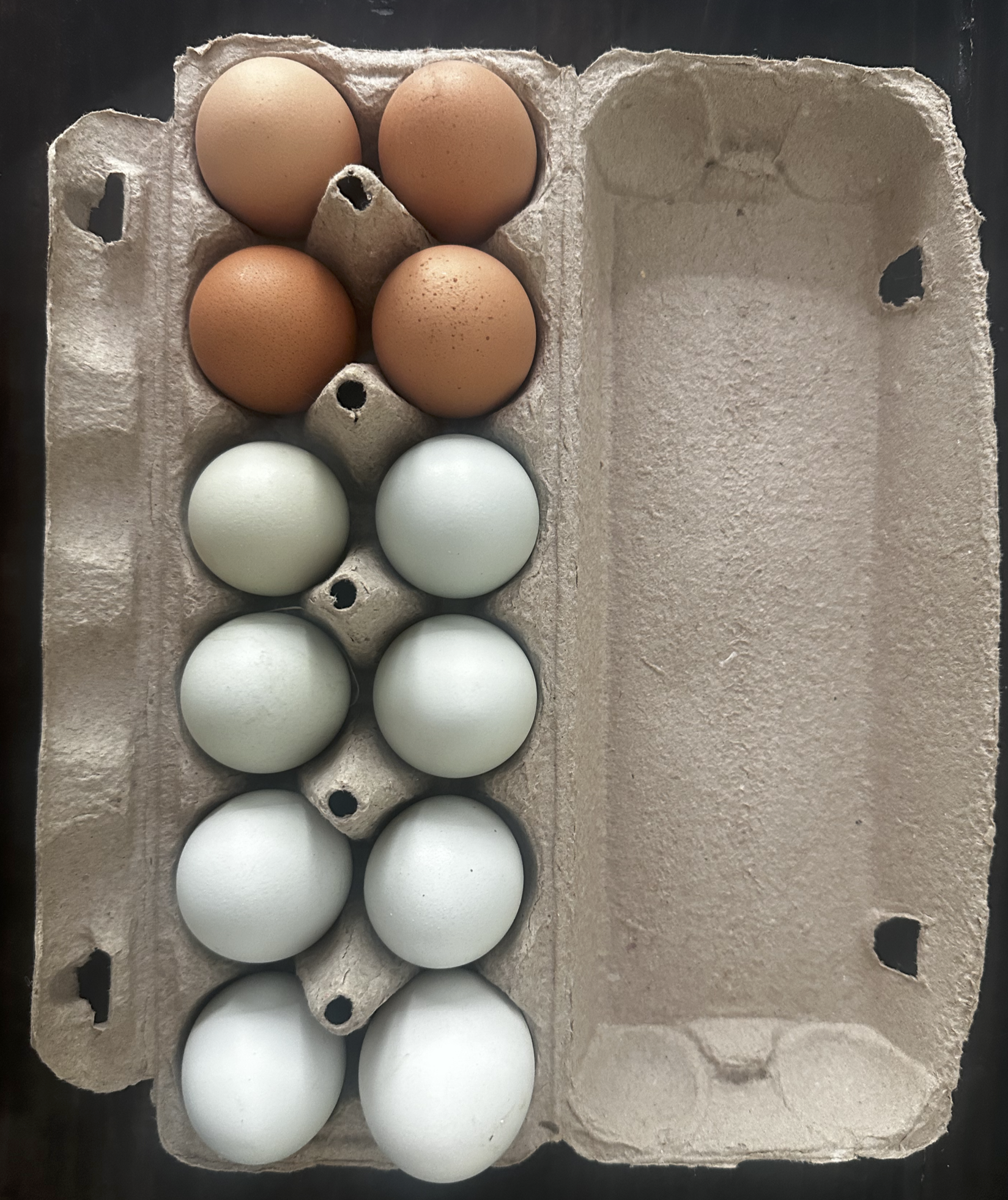 Chicken Eggs - Pasture Raised Non GMO (1 dozen)