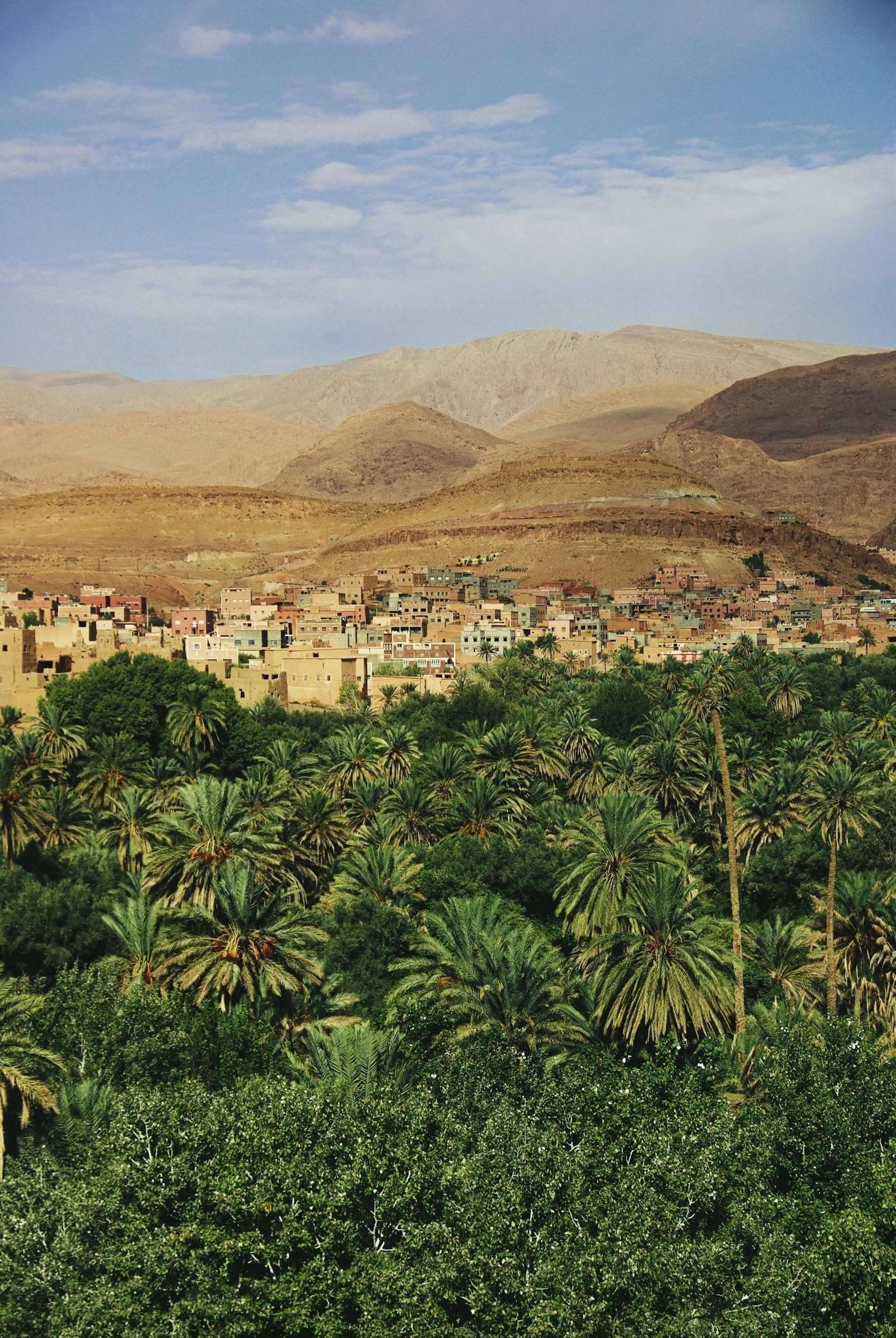 Paisaje árido con montañas en el fondo, pueblo construido con casas de color terracota y un área verde prospera con palmeras en primer plano.