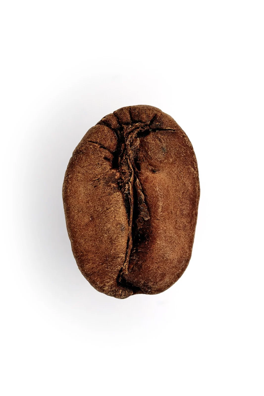 2026-02-10 08-40-06 (B,R8,S4).jpg