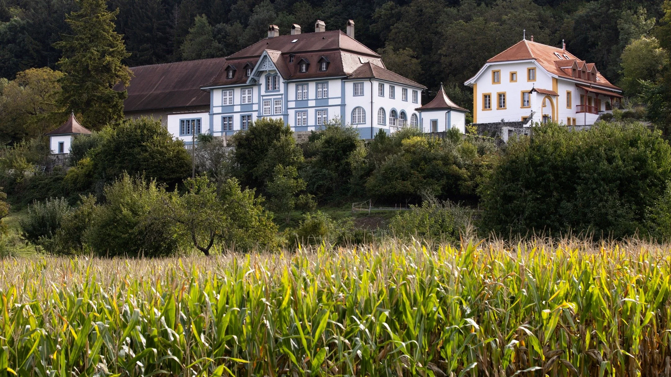 Domaine du Ch&acirc;teau de Marnand
Septembre 2025
Photographe: @gg_gregoiregardette - merci pour les images po&eacute;tiques!!!
