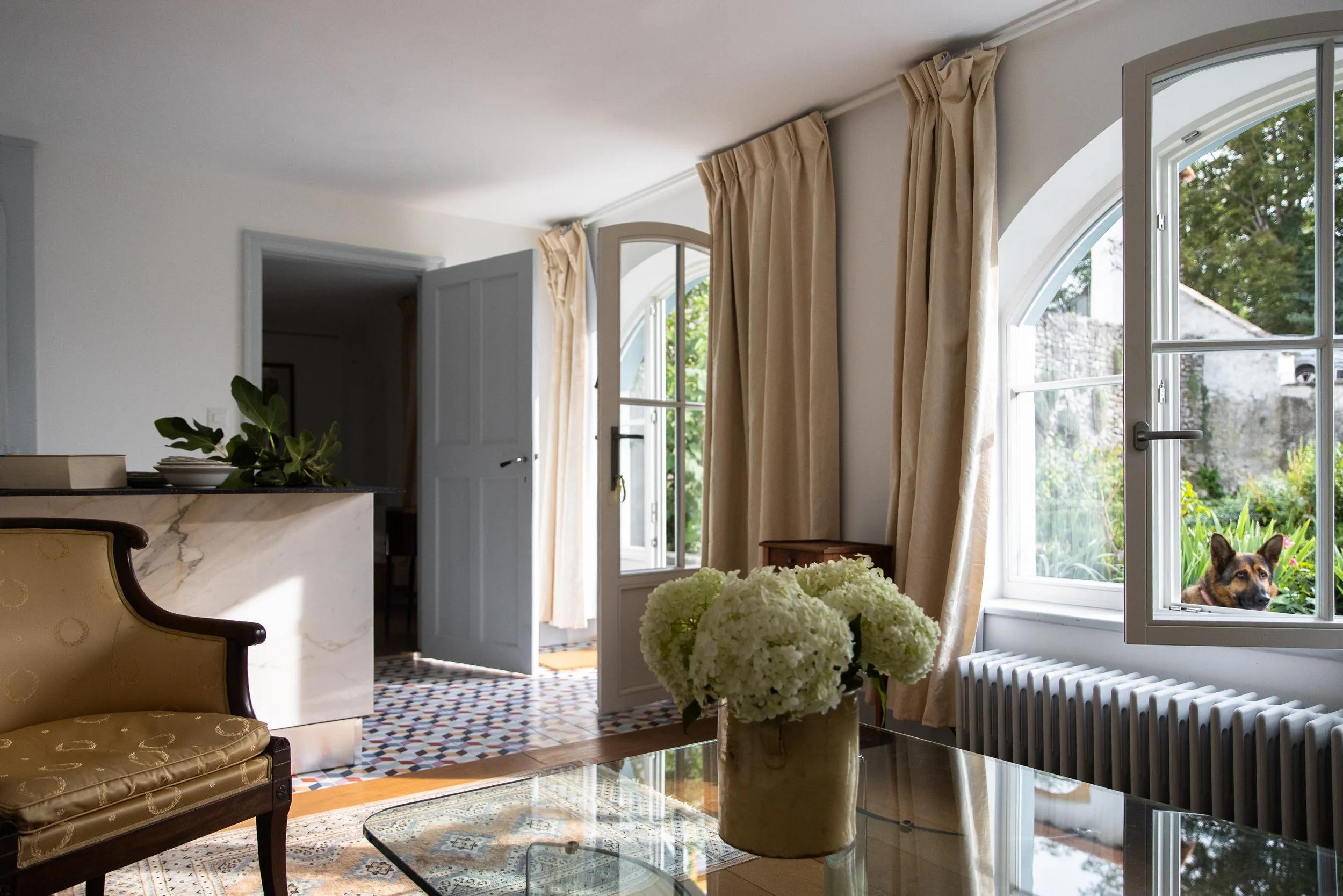 Salon intérieur lumineux avec grandes fenêtres, volets ouverts, vue sur un jardin, vase de fleurs blanches, chien regardant par la fenêtre.