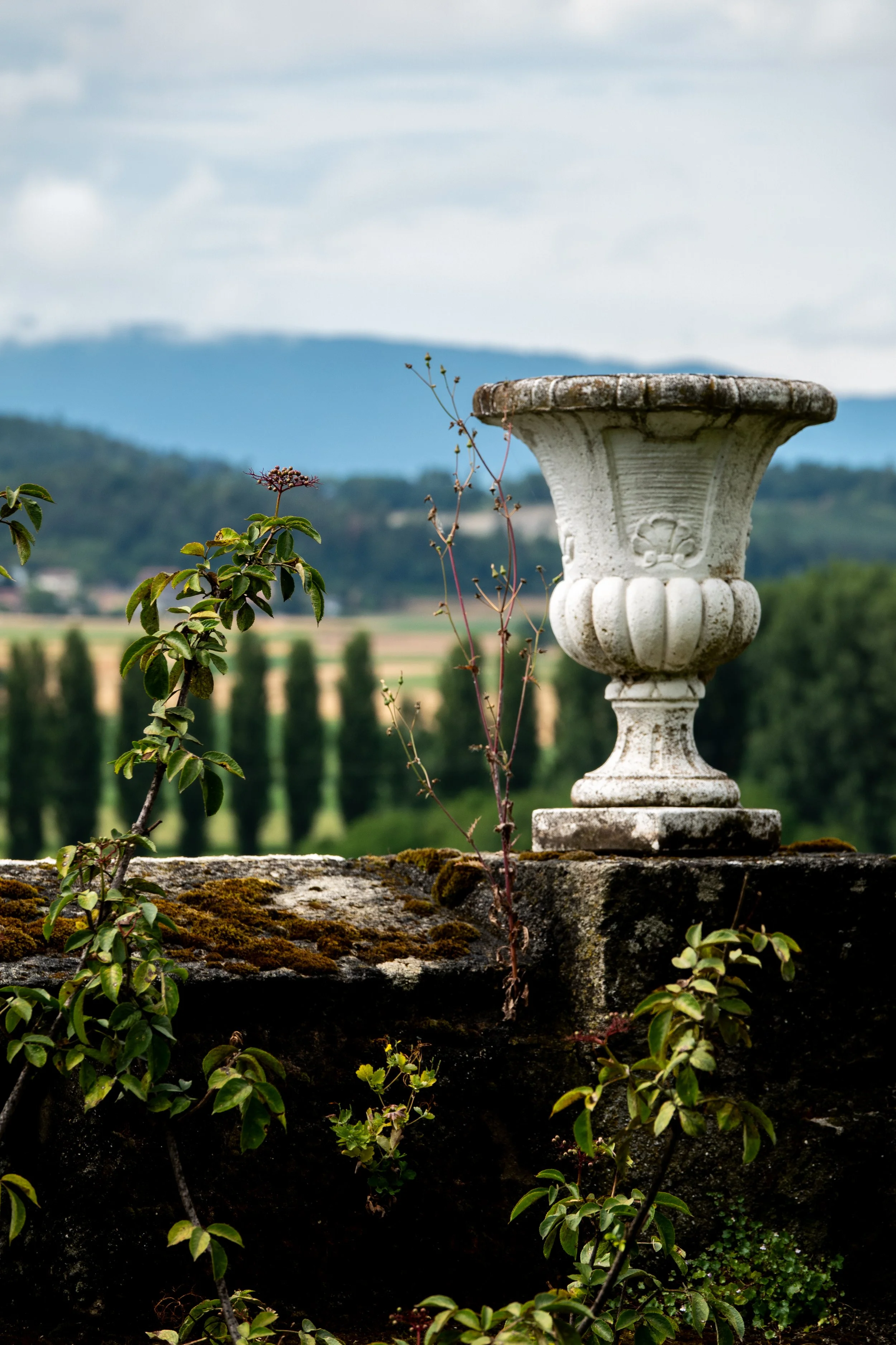 vue depuis les hautes de la fontaine chateau de Marnand photographe Elena Henneberg