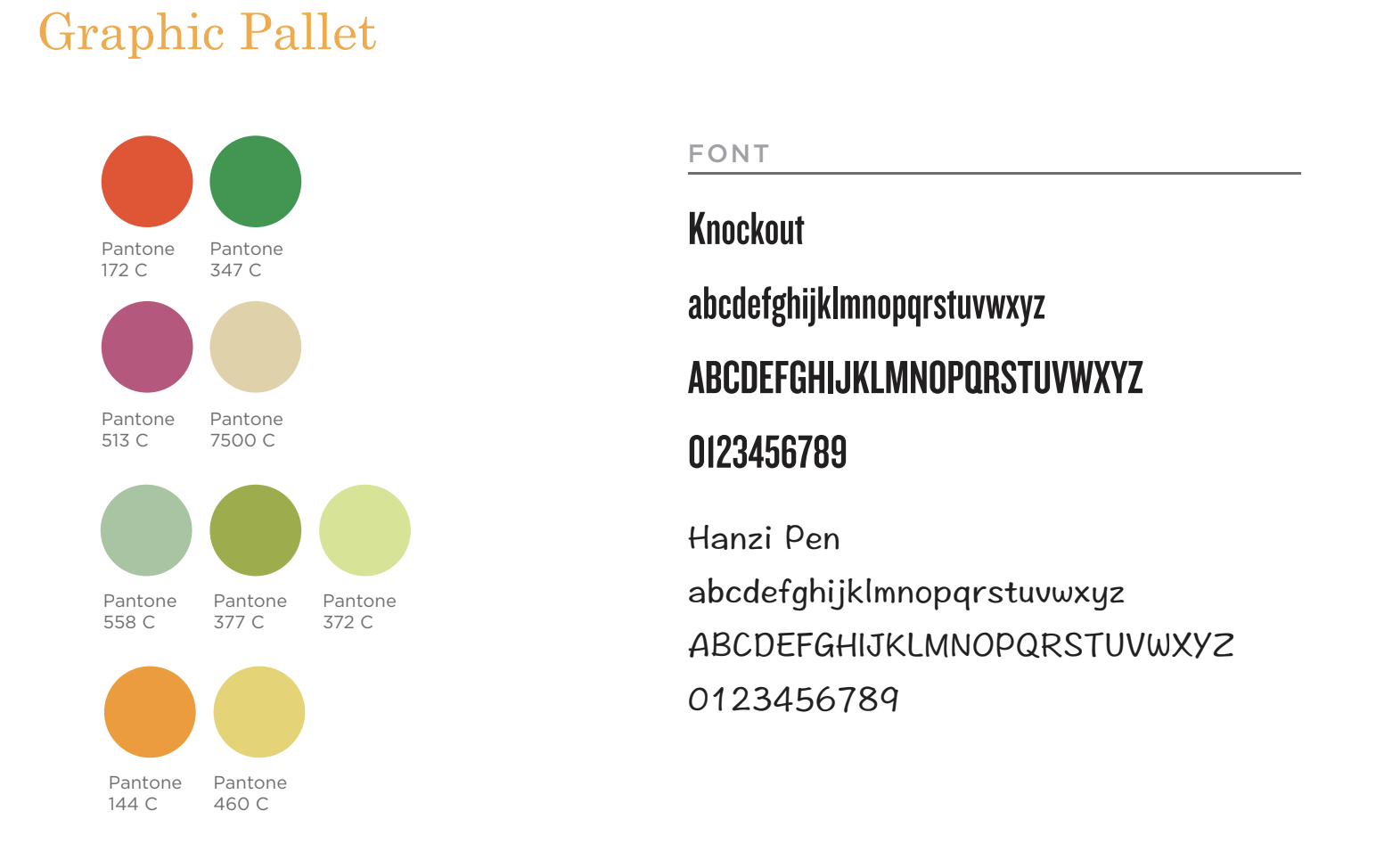 Colors + Fonts.png