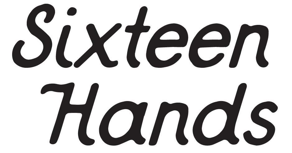 Sixteen Hands