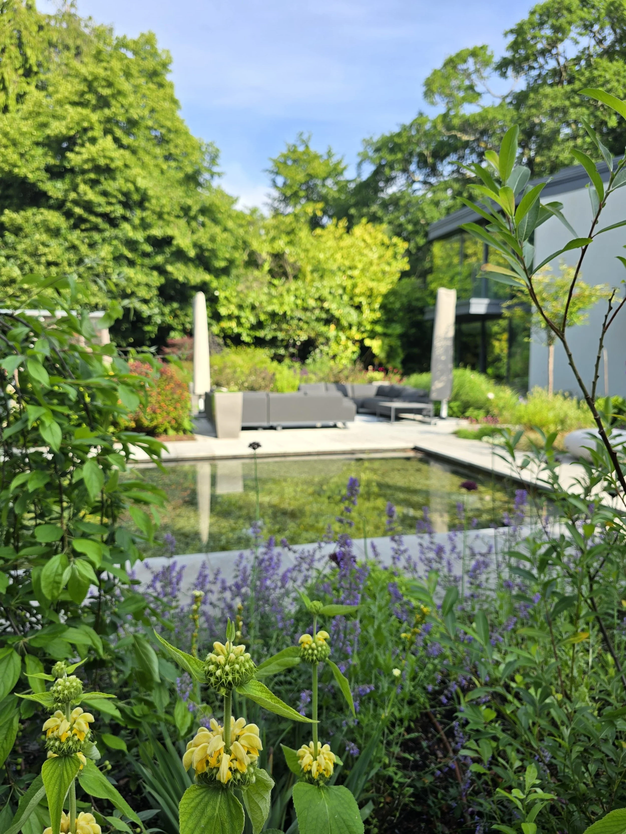 A peaceful garden backyard with a small pond, surrounded by blooming flowers and lush green trees, with patio furniture and umbrellas in the background.