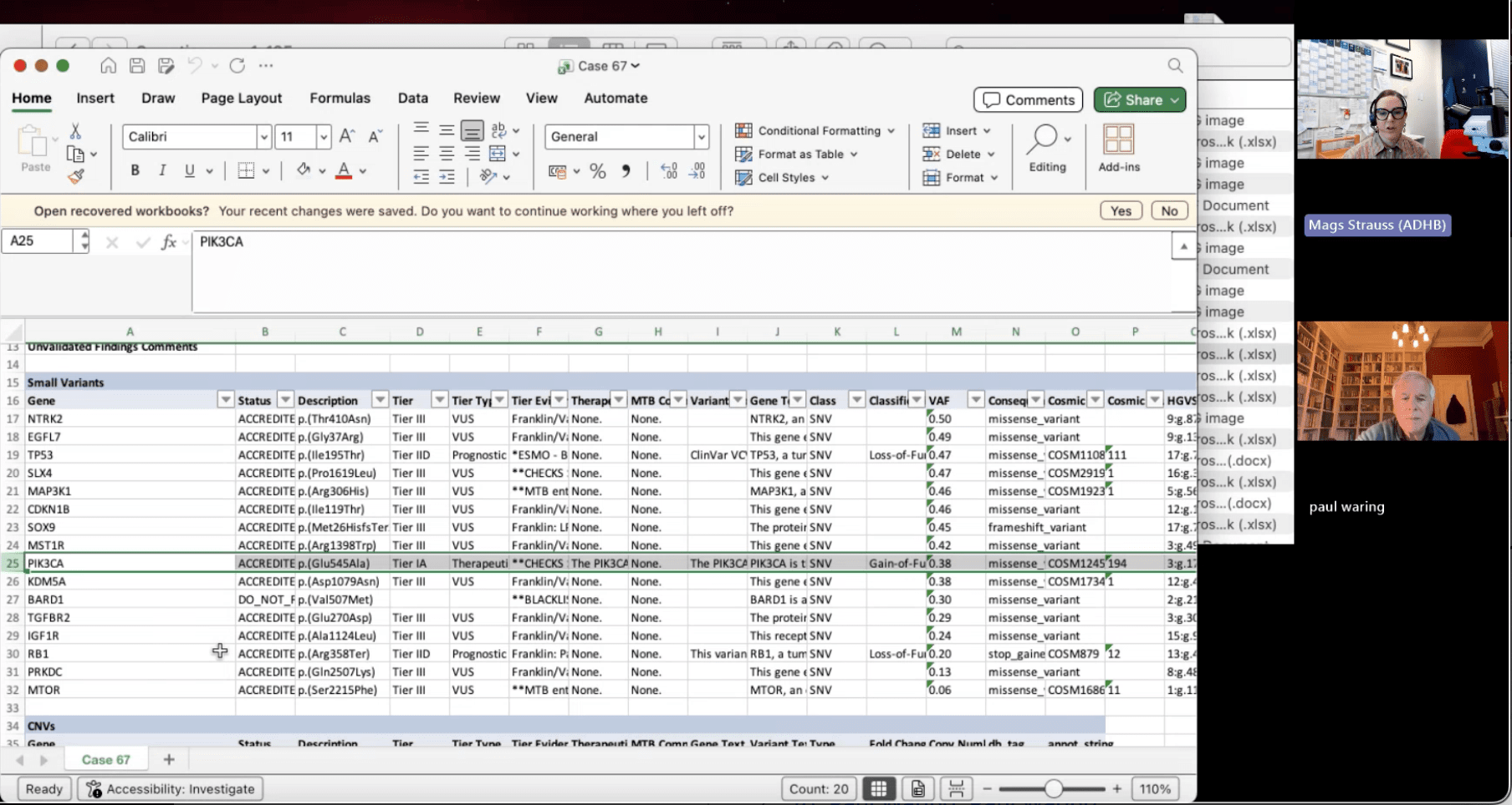 Screenshot of a computer screen displaying a spreadsheet with genetic data, an Excel toolbar, a video call window with two participants, and a connection to a remote desktop.