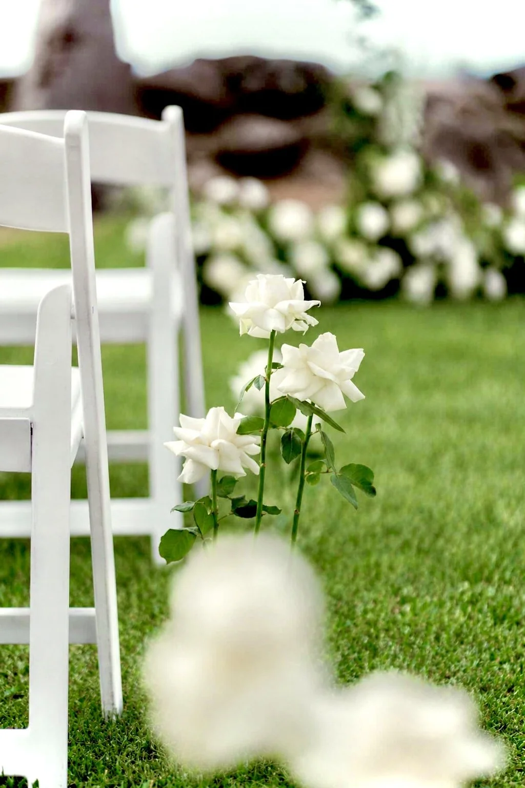 FBE0AB3A-2D85-4370-AB94-03F58E357A68.jpg