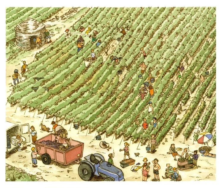 Les vendanges, ou comment passer un moment sympathique dans les vignes, qui permettent de faire vivre toute une région.
Cette illustration servît de couverture au menu du tastevinage au sein de la Confrérie des chevaliers du Tastevin.
Encre et aquare