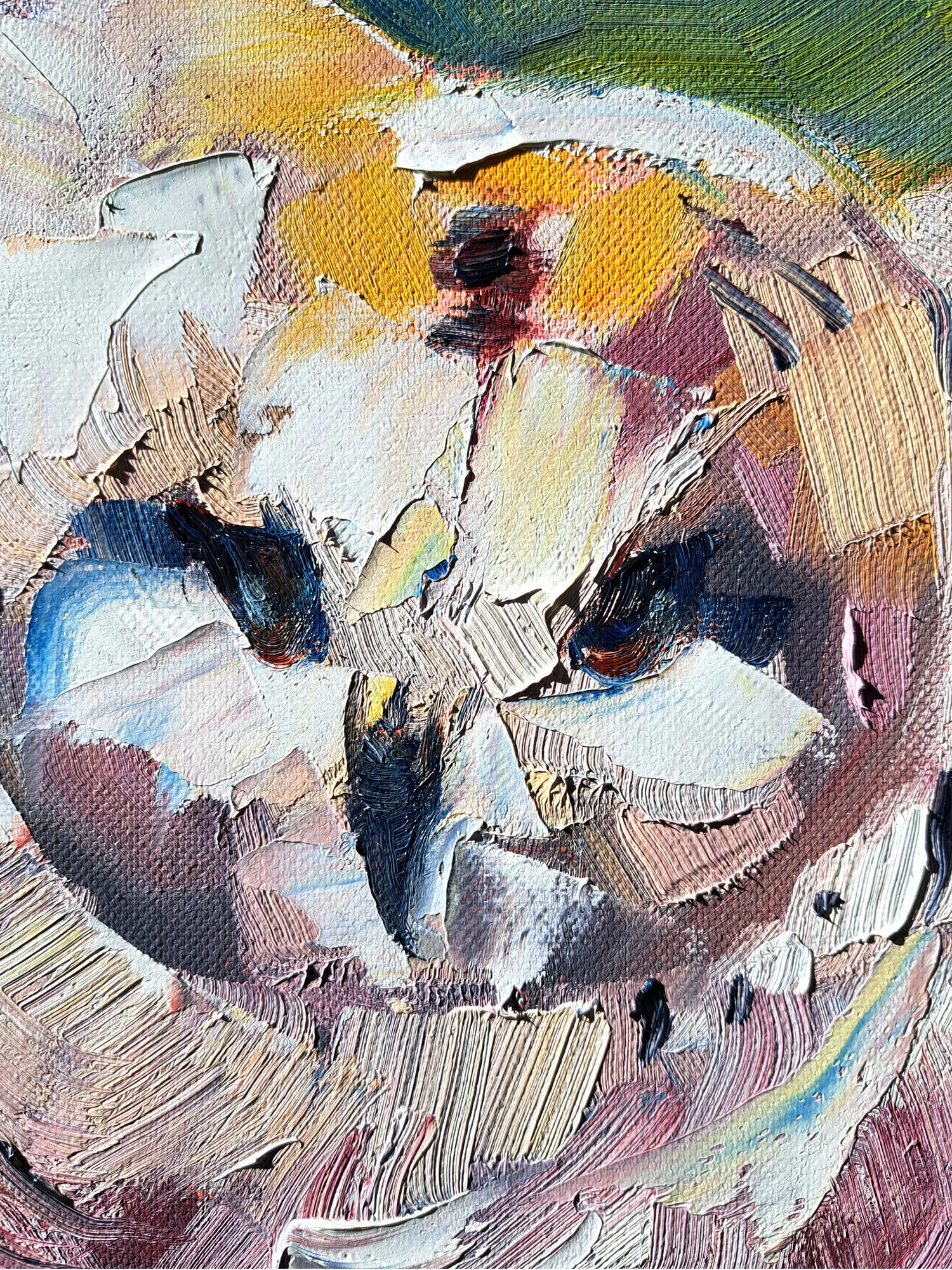 Chouette harfang, détail.jpg