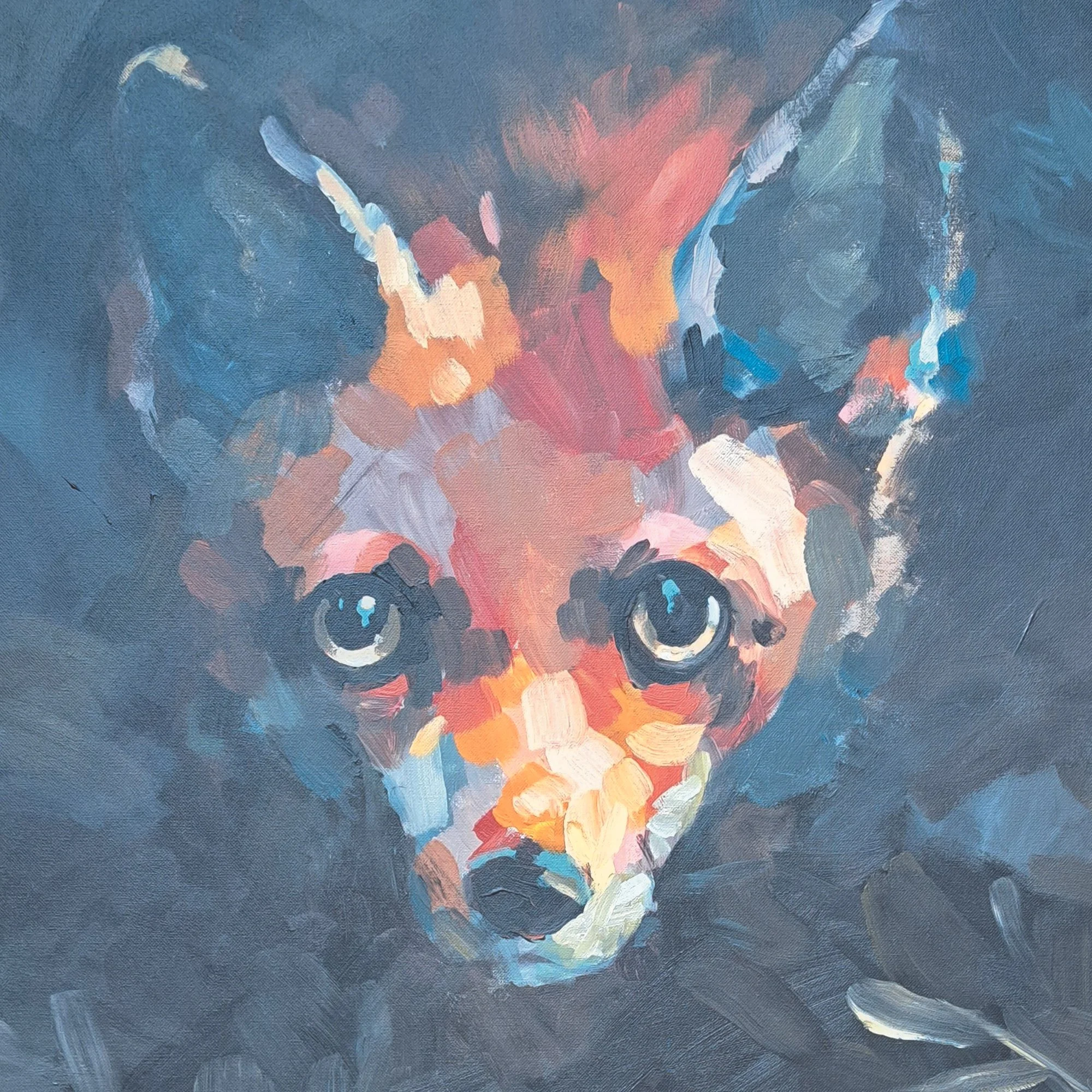 tête du renard