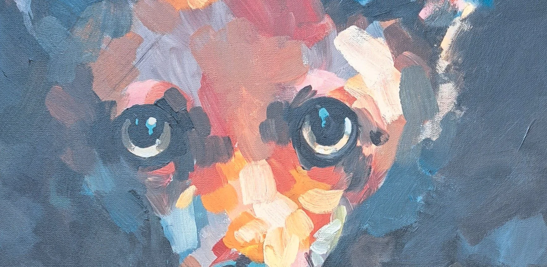 regard du renard, gros plan