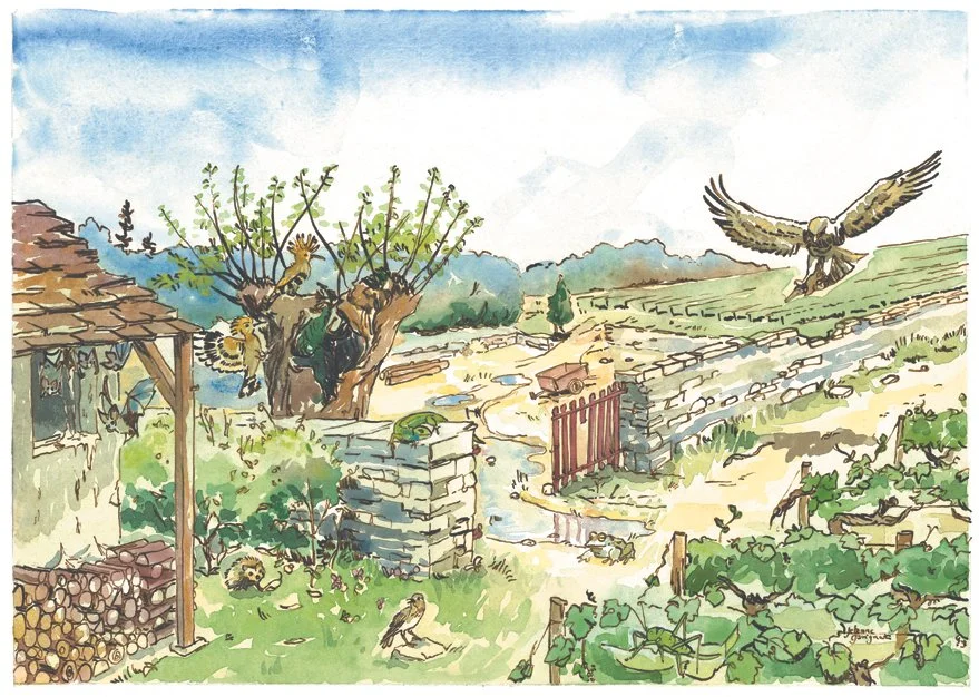 Double-page sur la biodiversité en Côte d'or, format A4, encre et aquarelle
