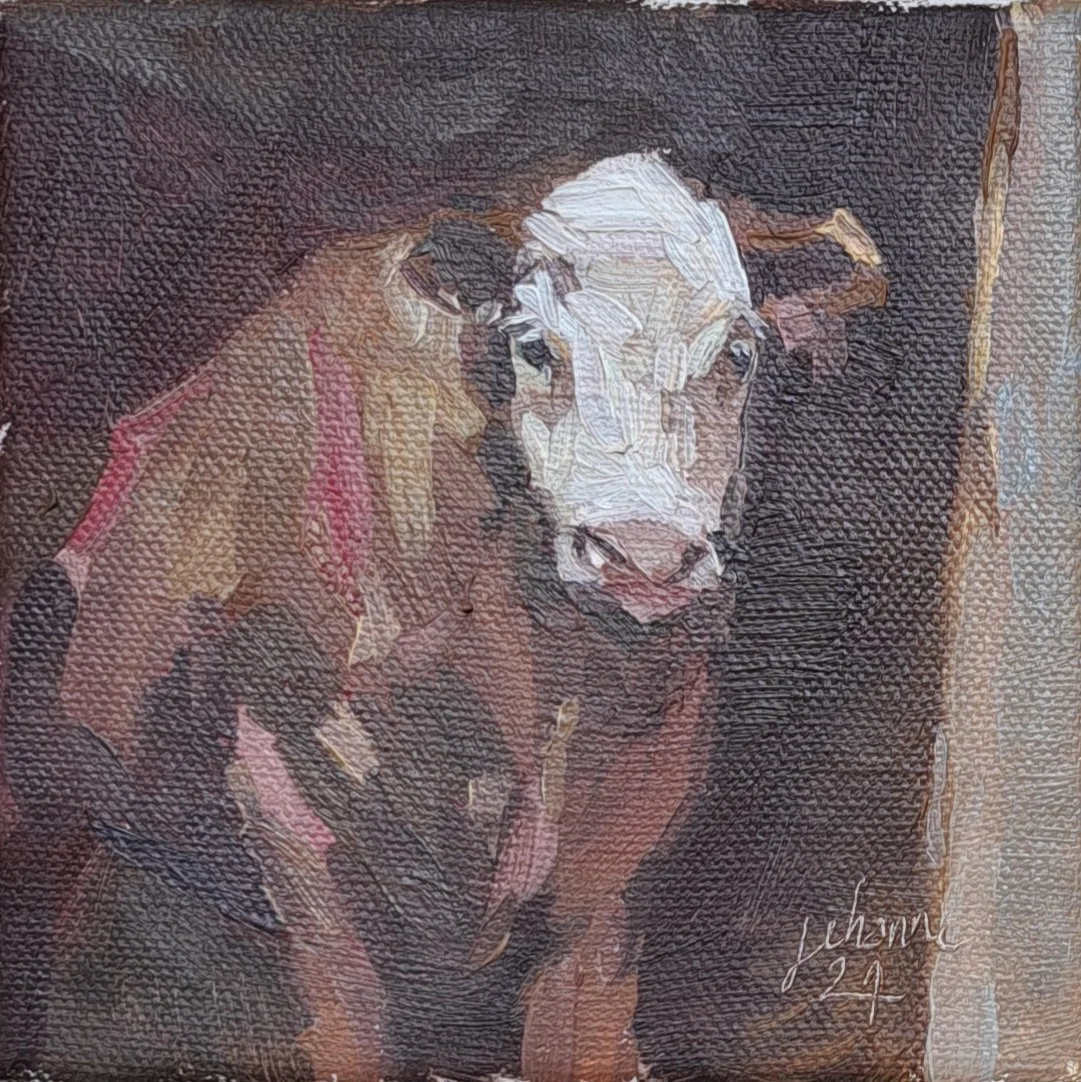 Vache, Huile sur toile, 12x12 cm, Vendu