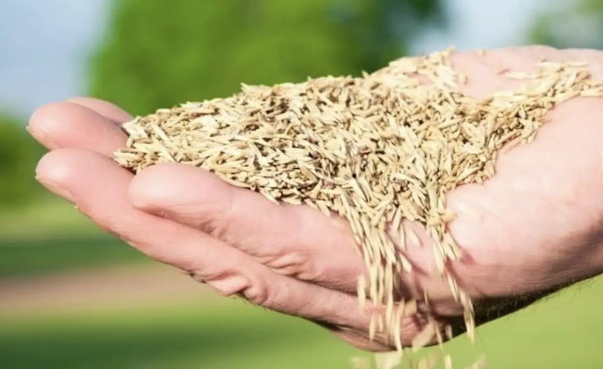 Screenshot 2025-10-11 at 18.47.03.png