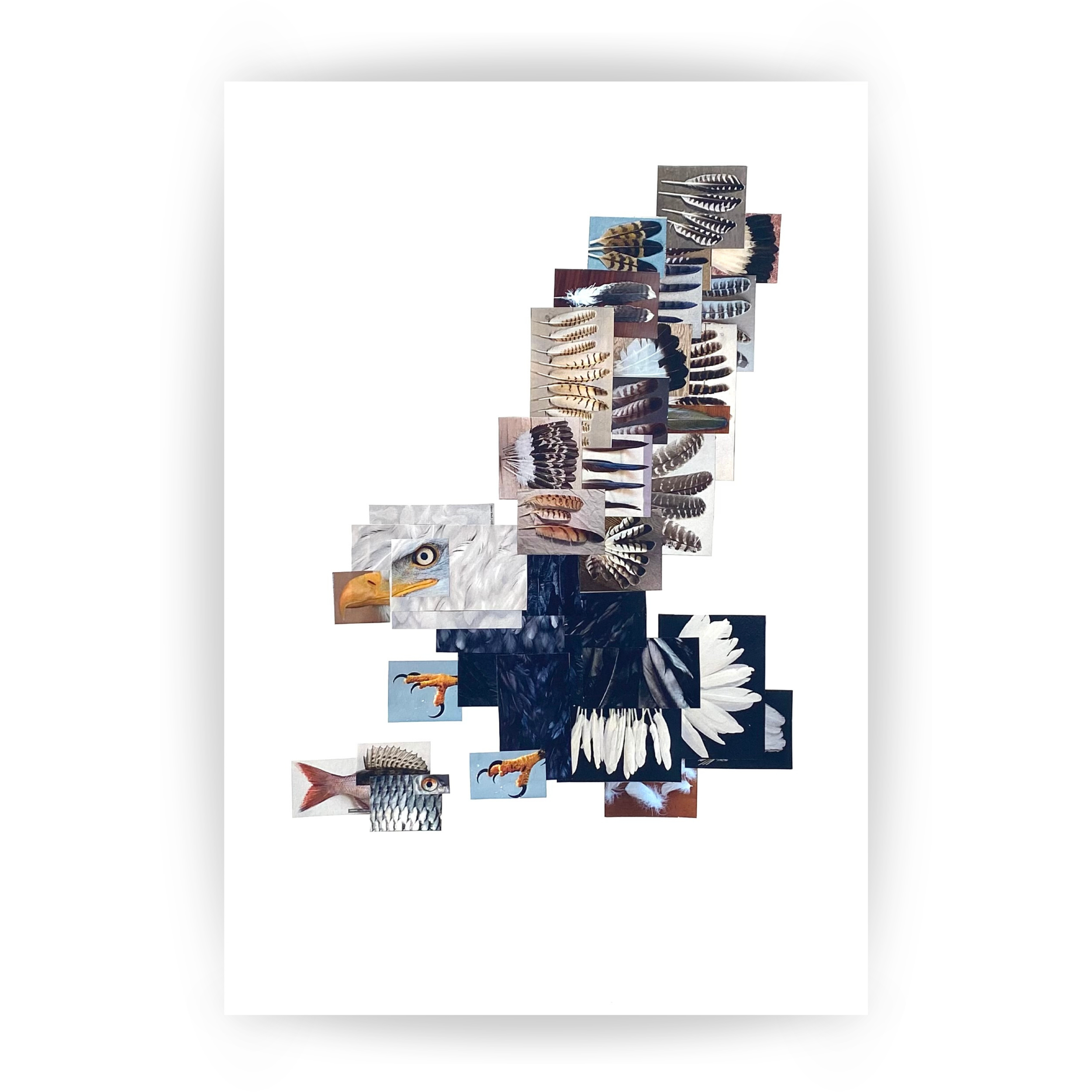 Padded image template square eagle 2.png