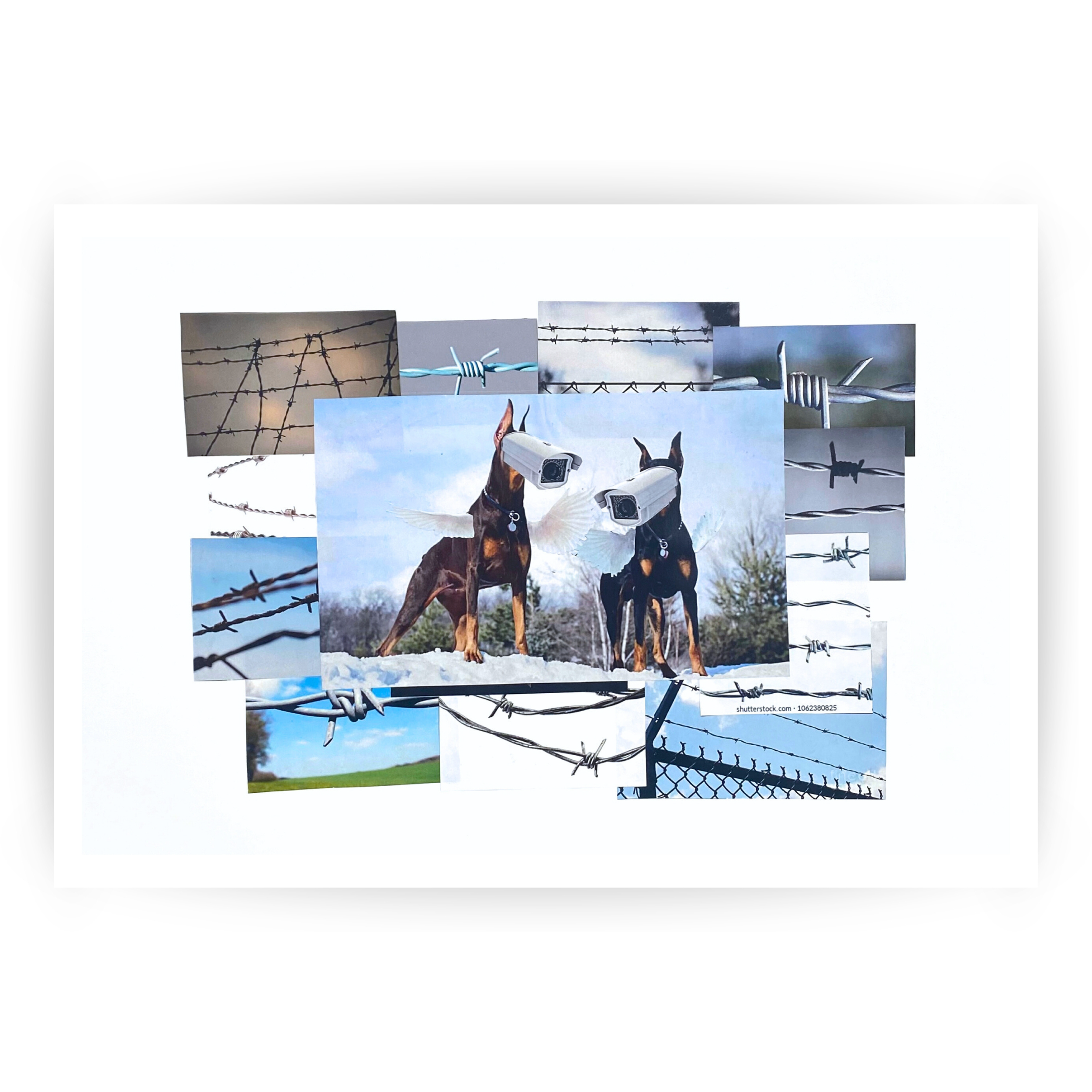 Padded image template square dogs 2.png