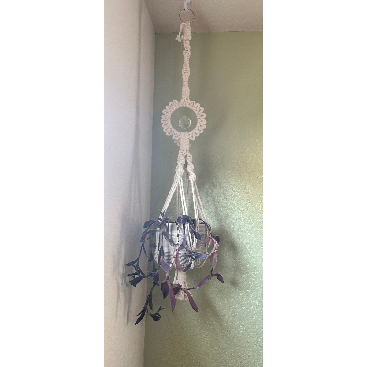 Macramé Plant Hanger with Decorative Ring Accent