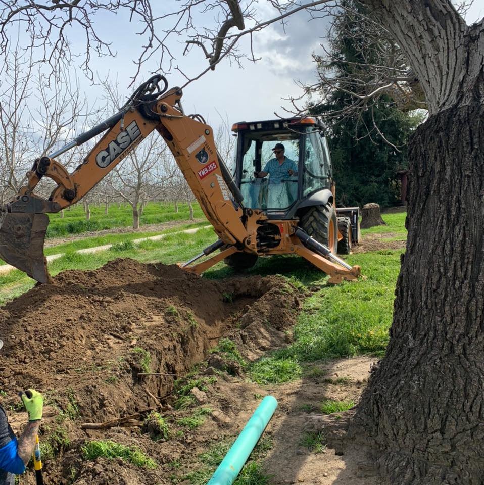 A person operating a Robert Burt Construction CASE backhoe loader excavator digging a trench in a grassy area, with tree branches and a large tree trunk nearby.