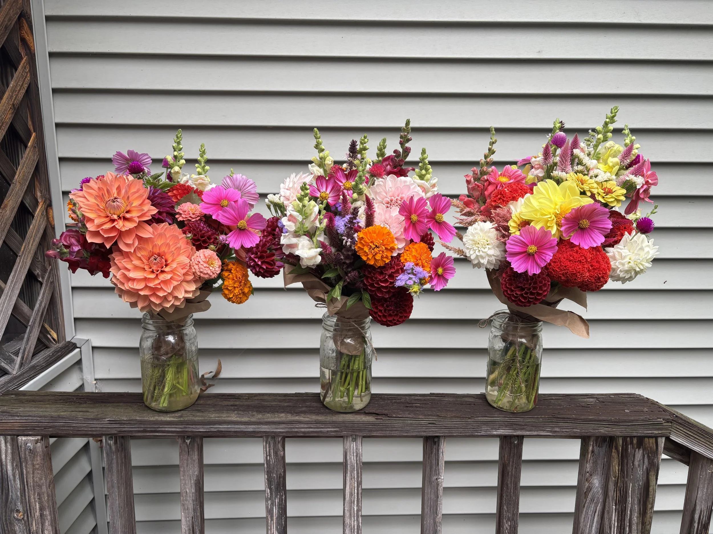 A New Season at Holston Flower Farm