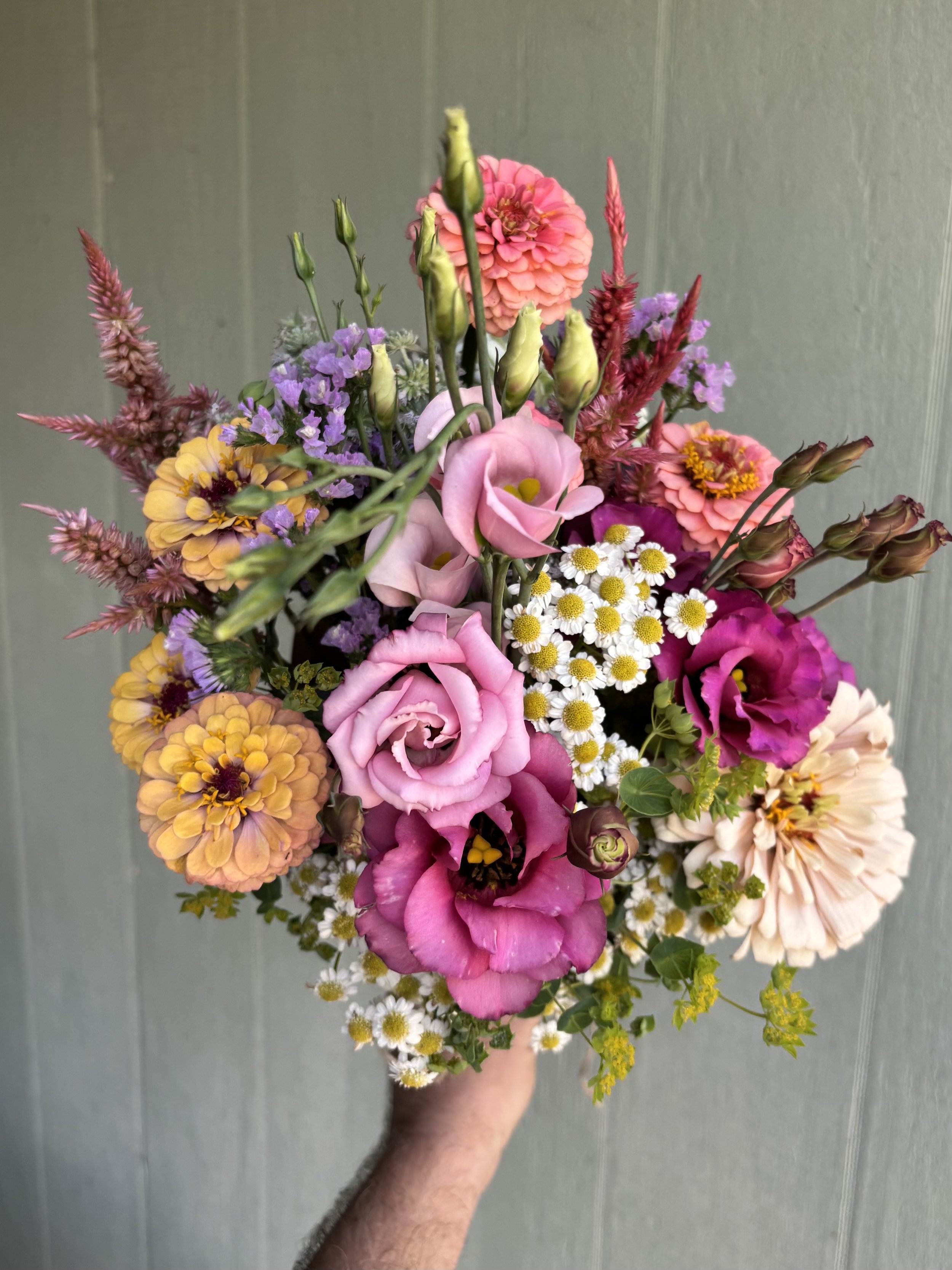 Holston Flower Farm Late Summer CSA Member